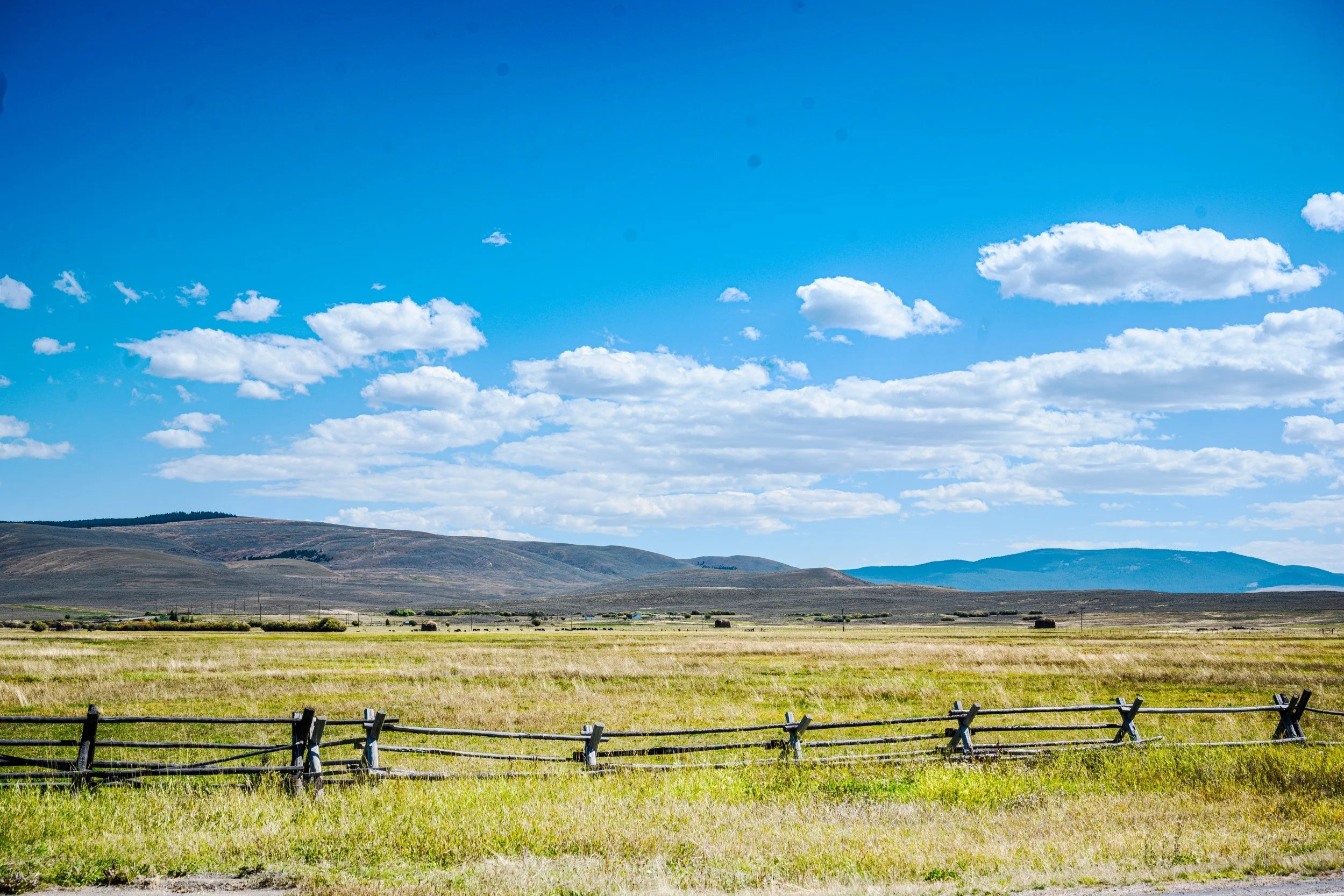 JUM_7273-1 (Custom).jpg