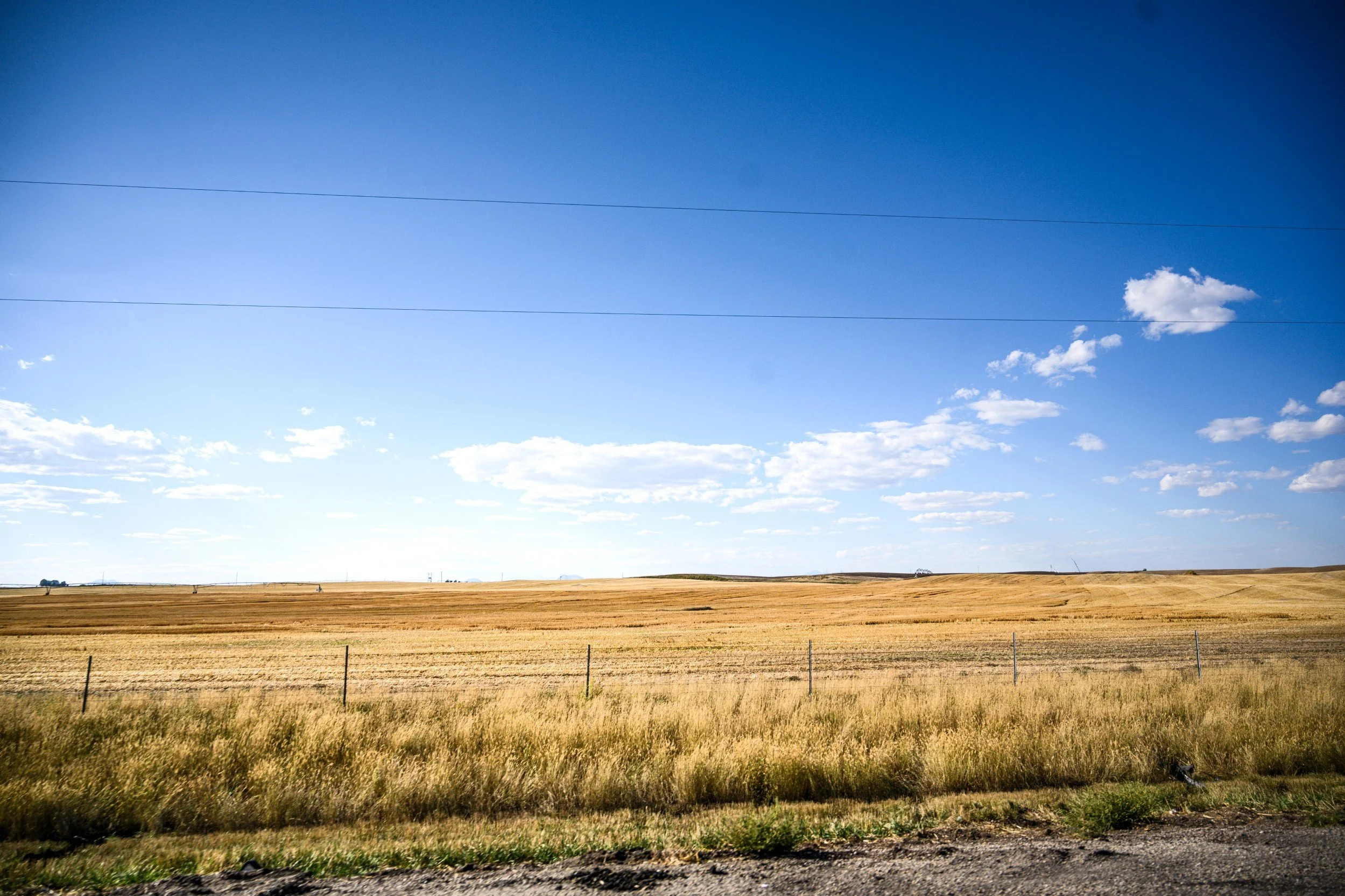 JUM_7429-1 (Custom).jpg