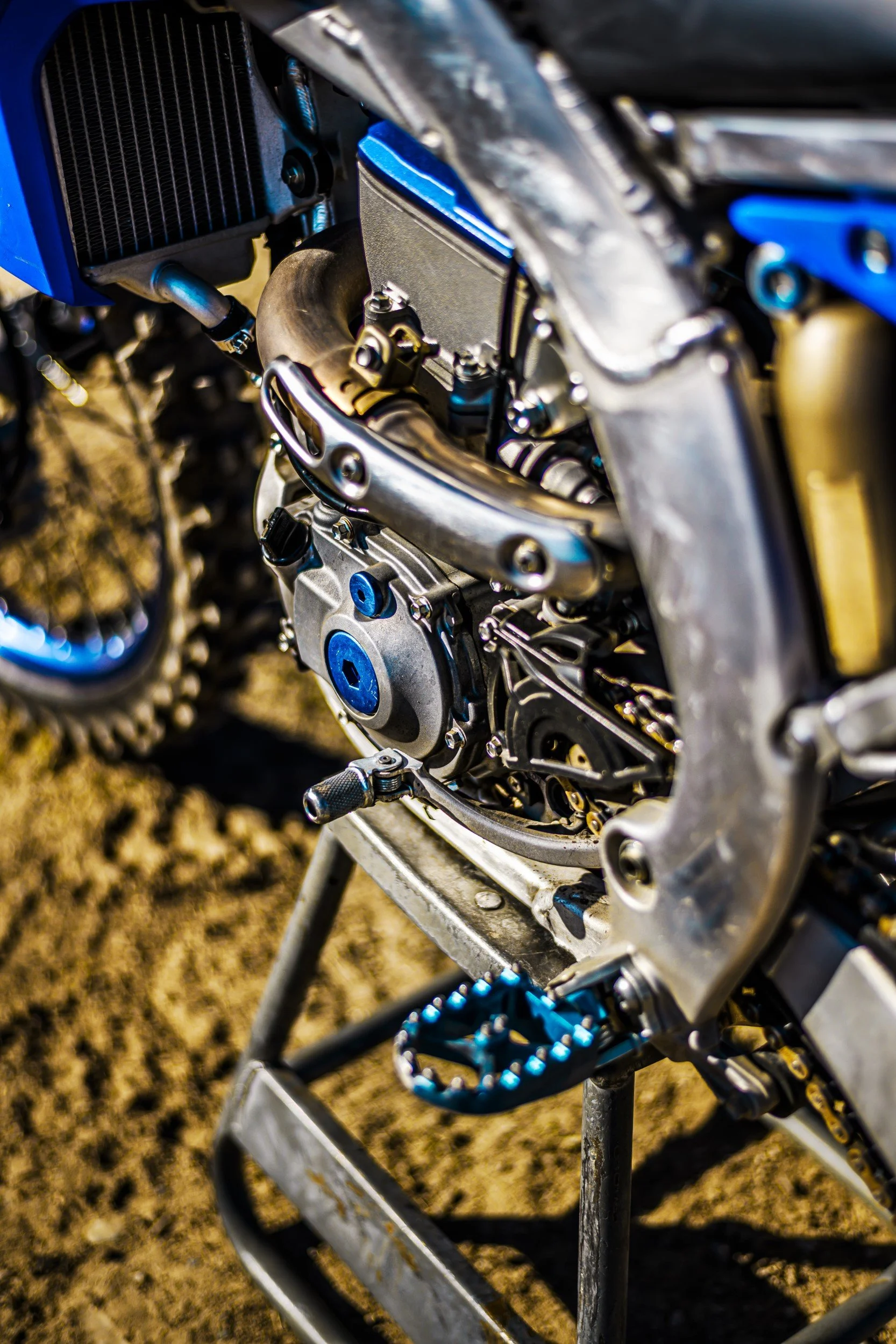 JUM_0754-1 (Custom).jpg