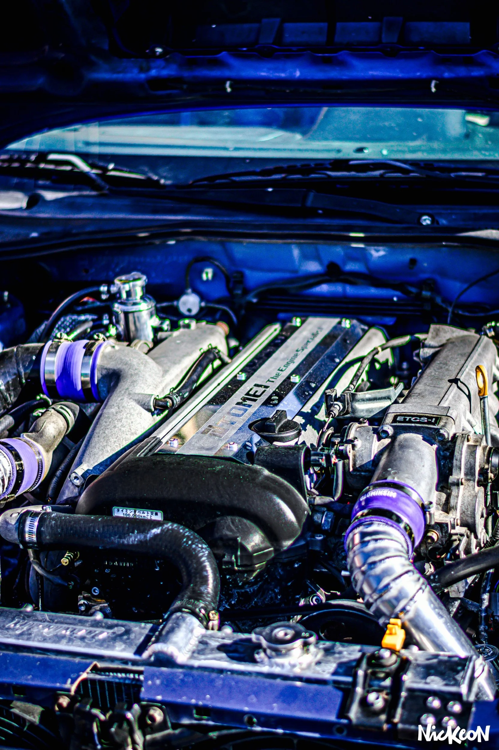 JUM_3446-1 (Custom).jpg