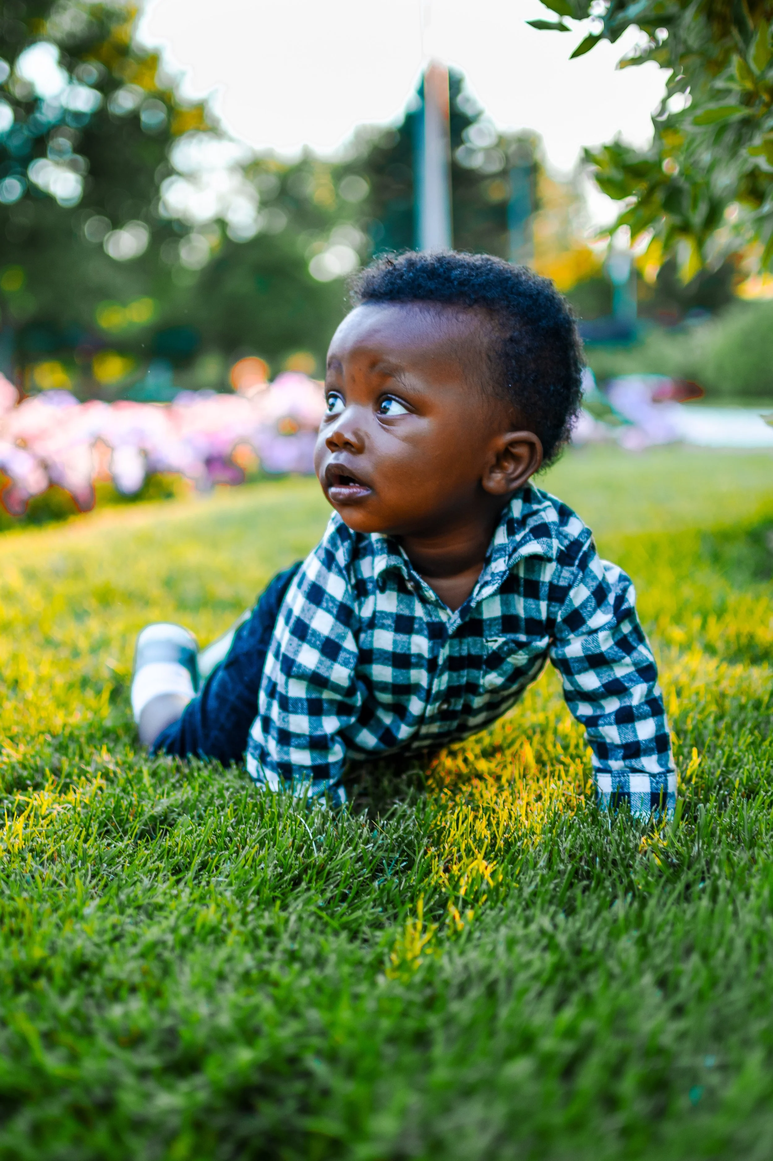 JUM_6229 (Custom).jpg