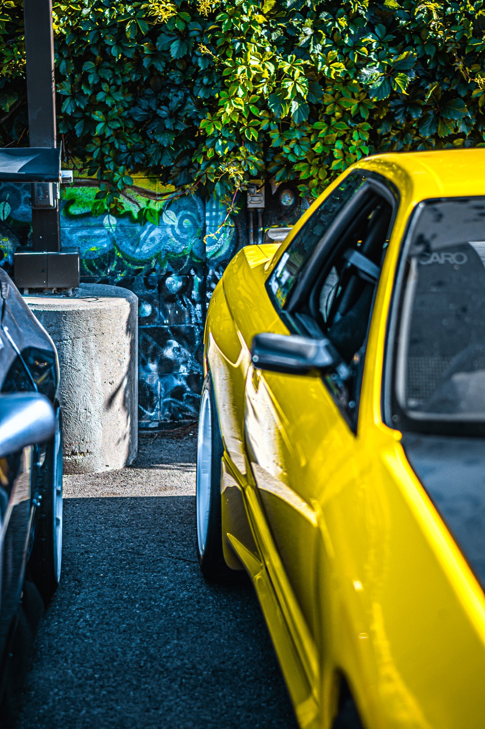 JUM_3507-1 (Custom).jpg