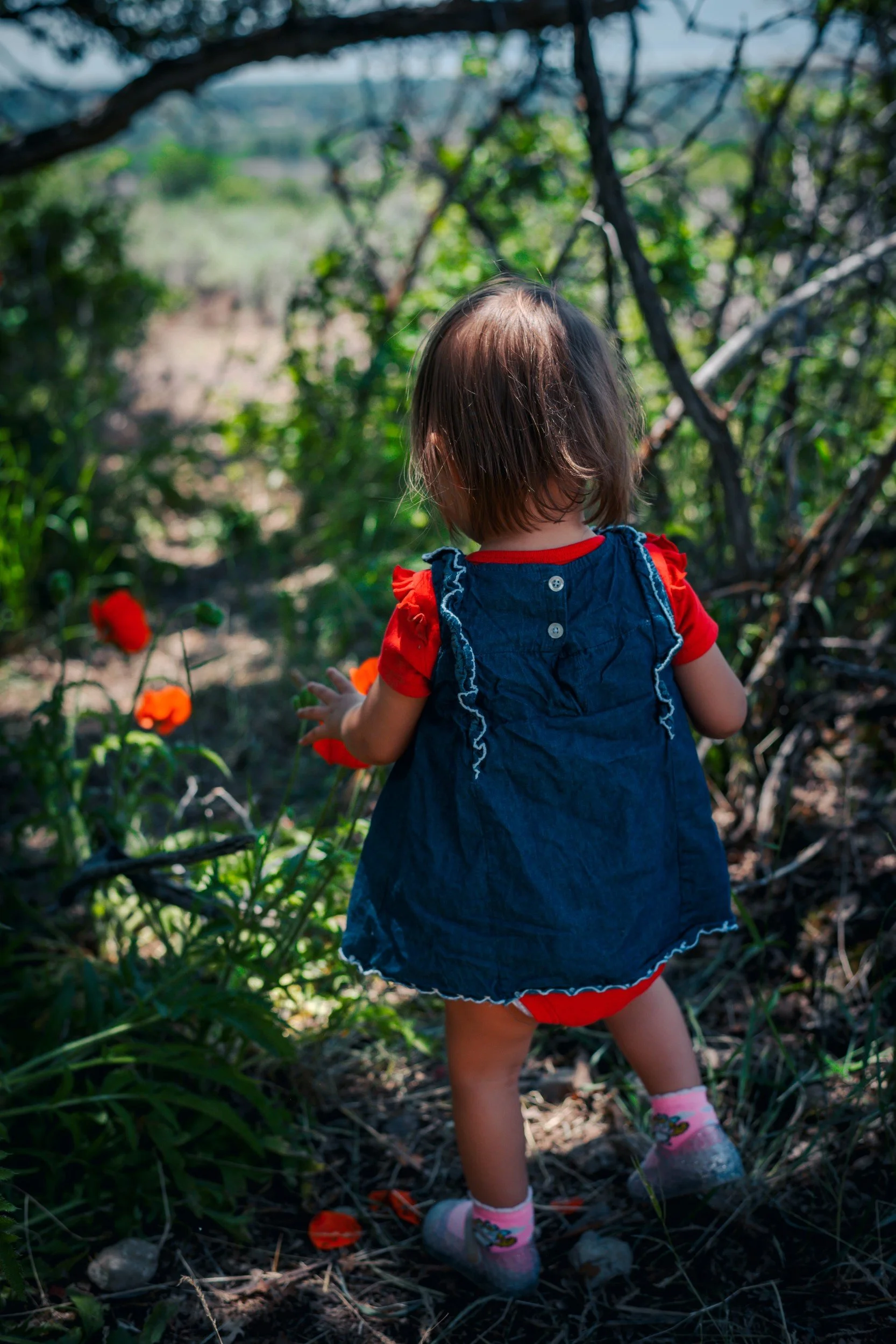 JUM_1812-1 (Custom).jpg