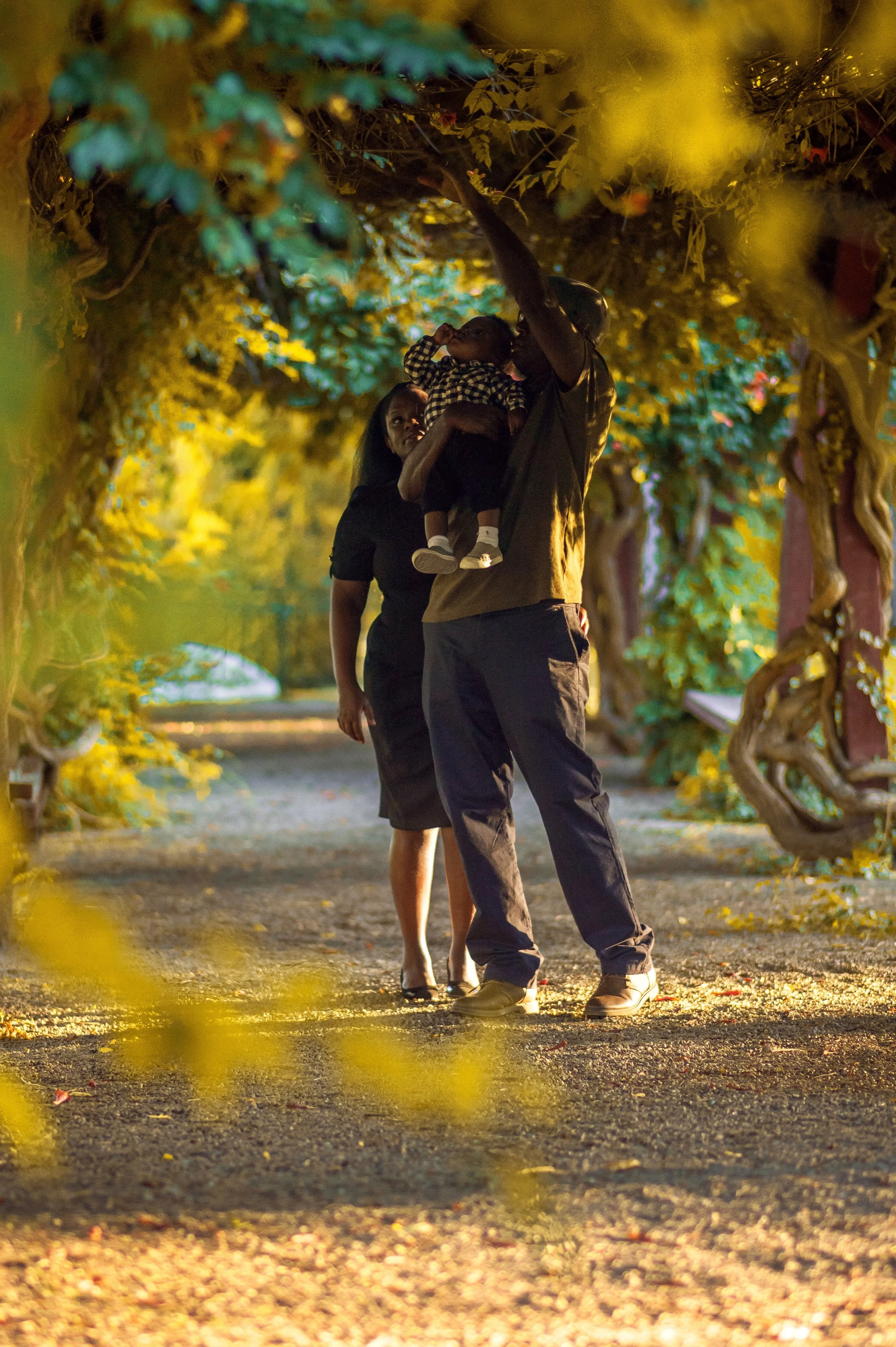 JUM_6404 (Custom).jpg