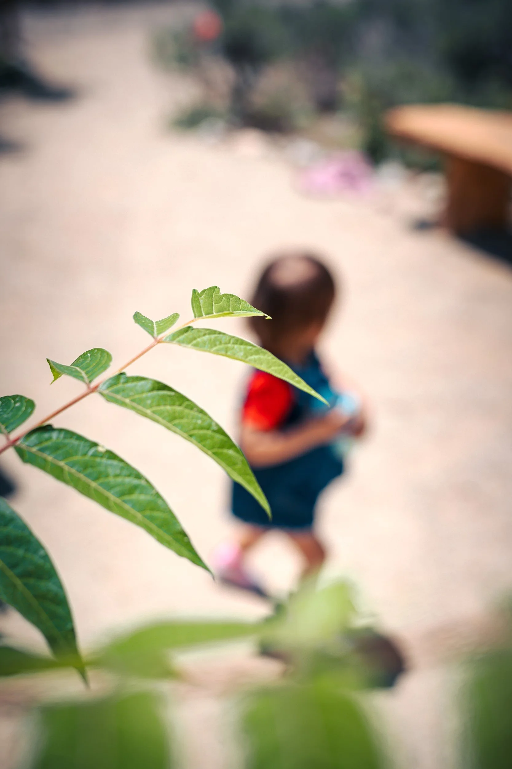 JUM_1712-1 (Custom).jpg