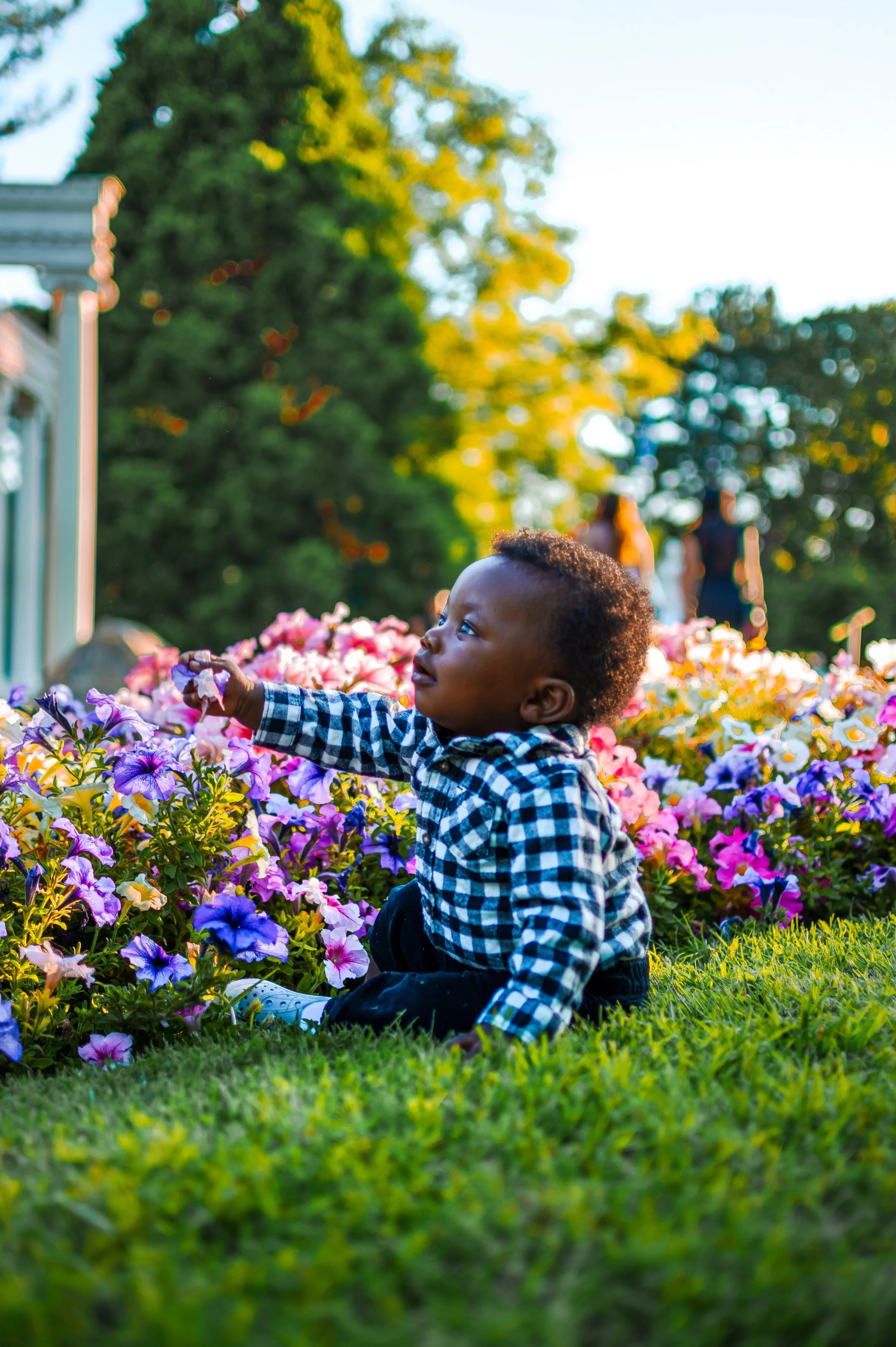 JUM_6251 (Custom).jpg