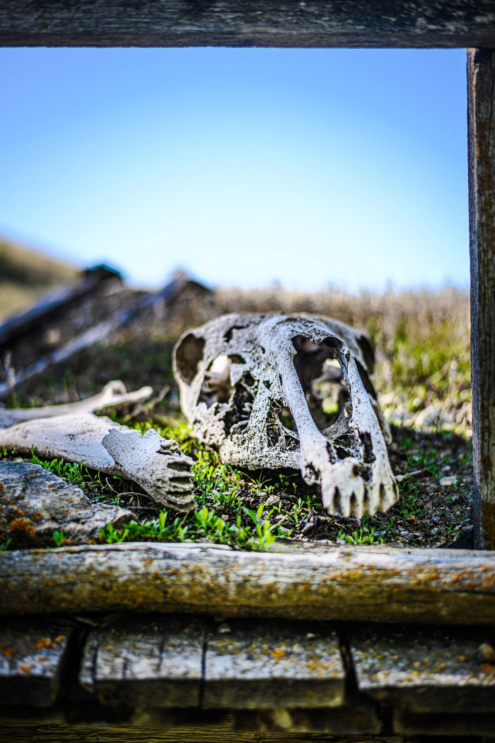 JUM_6998-1 (Custom).jpg