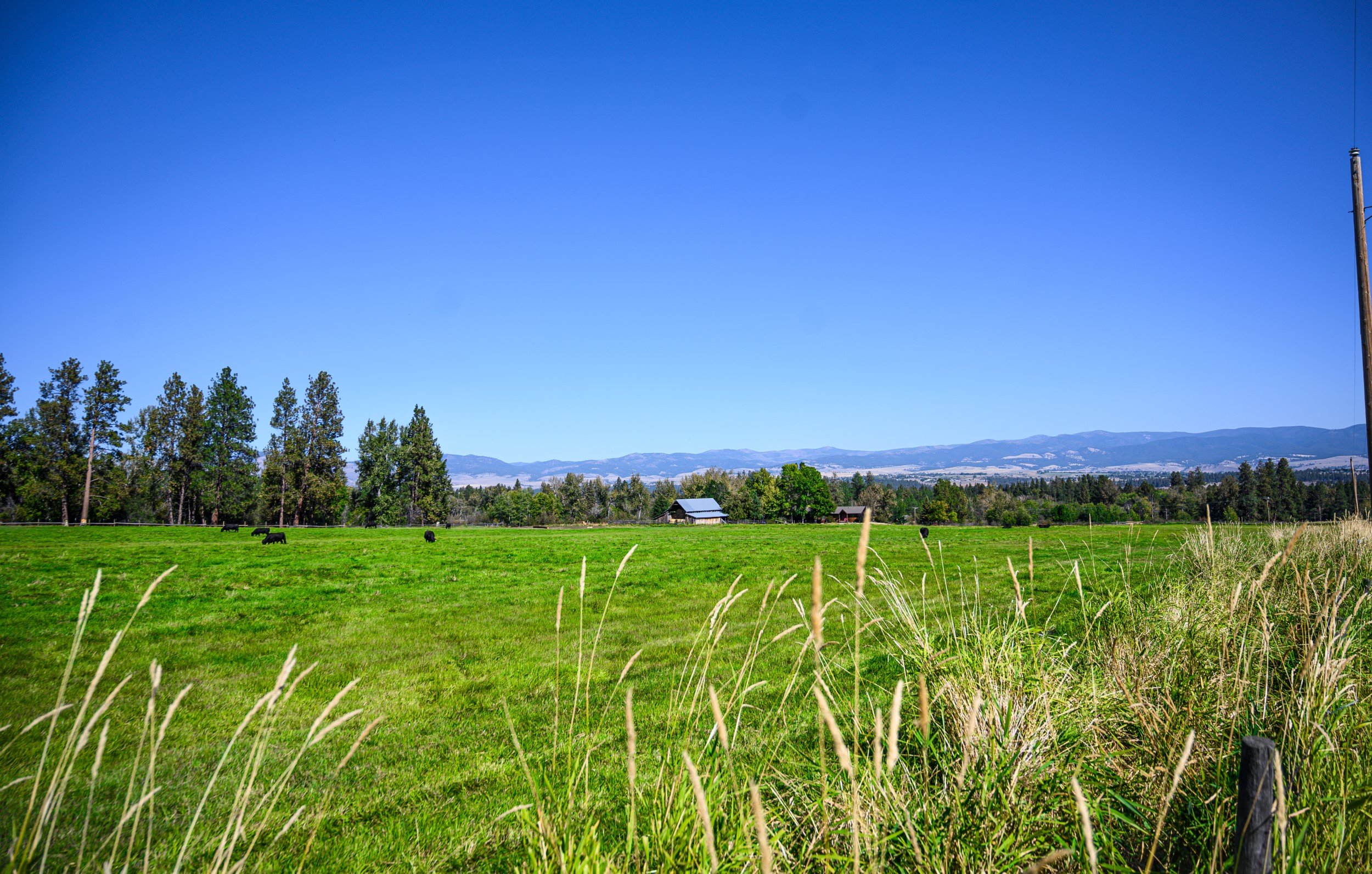 JUM_7140-1 (Custom).jpg