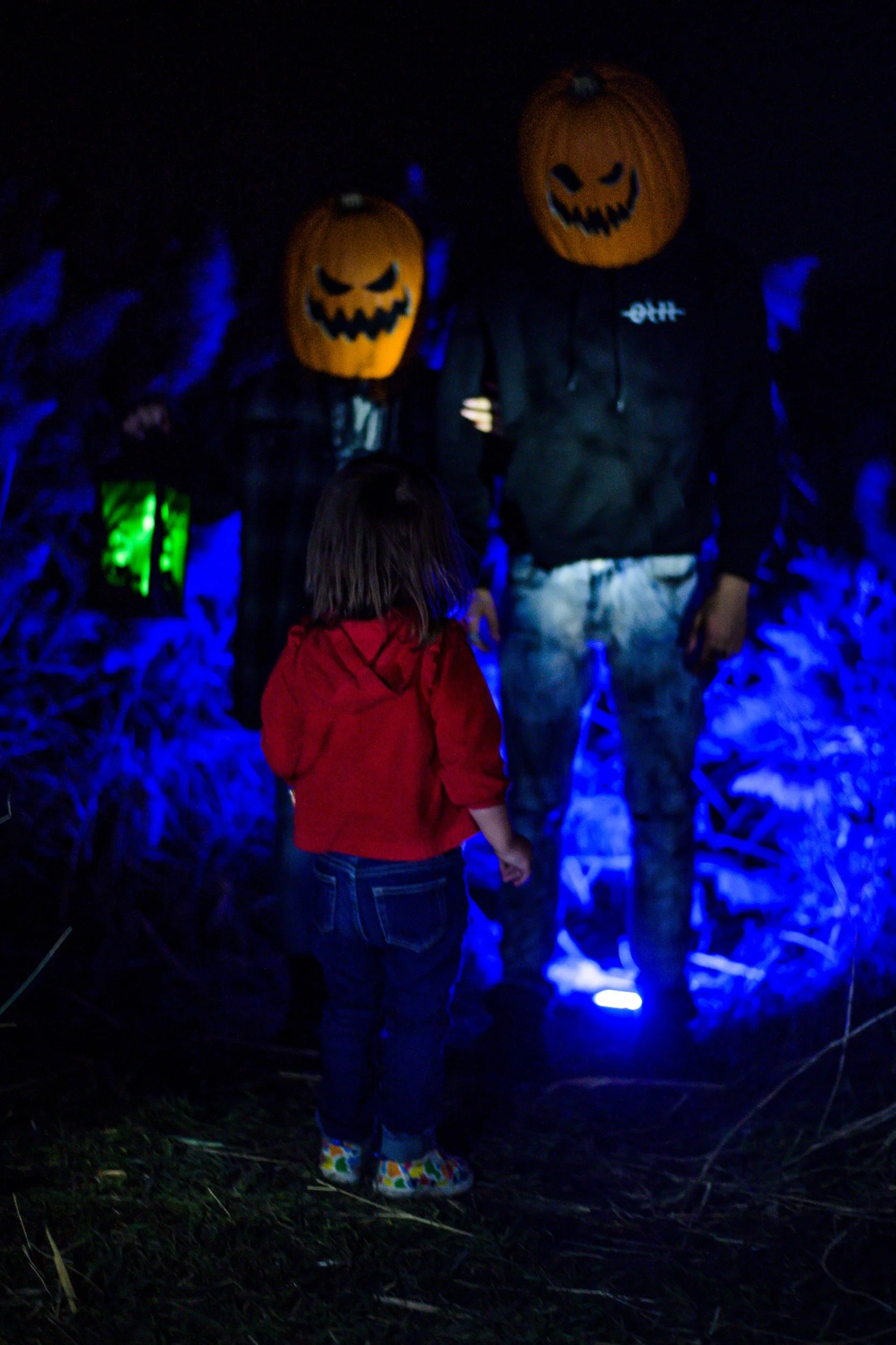 JUM_9774-1 (Custom).jpg