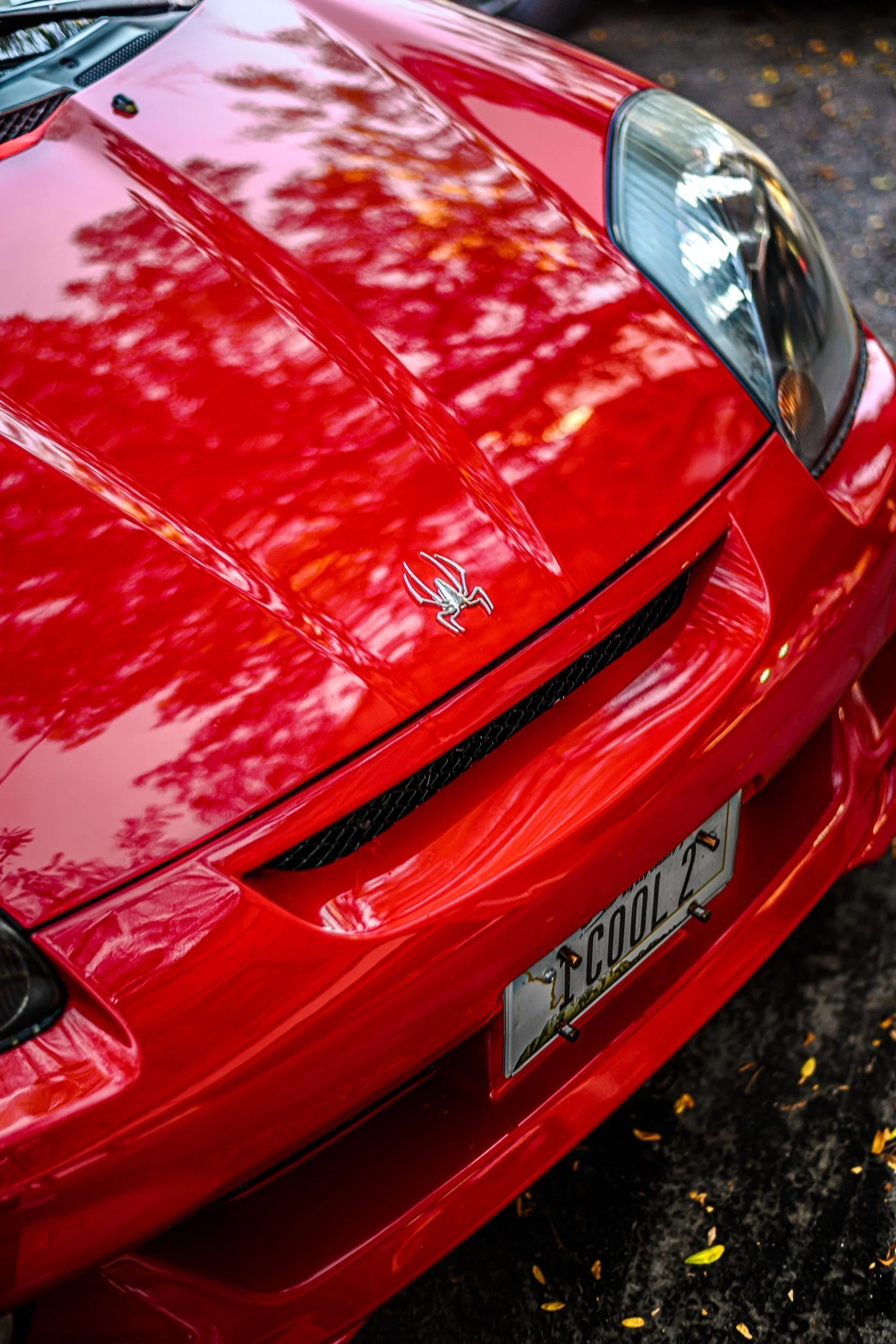 JUM_7030-1 (Custom).jpg