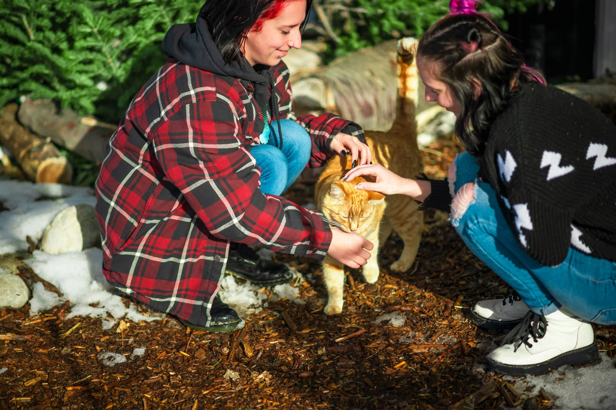 JUM_4693 (Custom).jpg