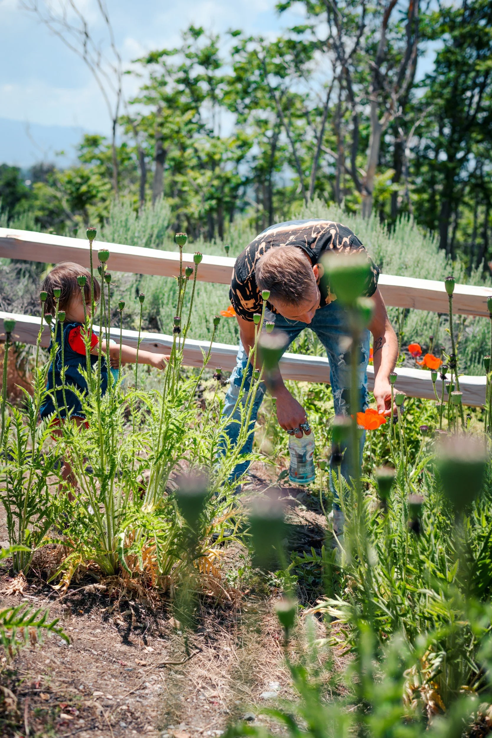 JUM_1945-1 (Custom).jpg