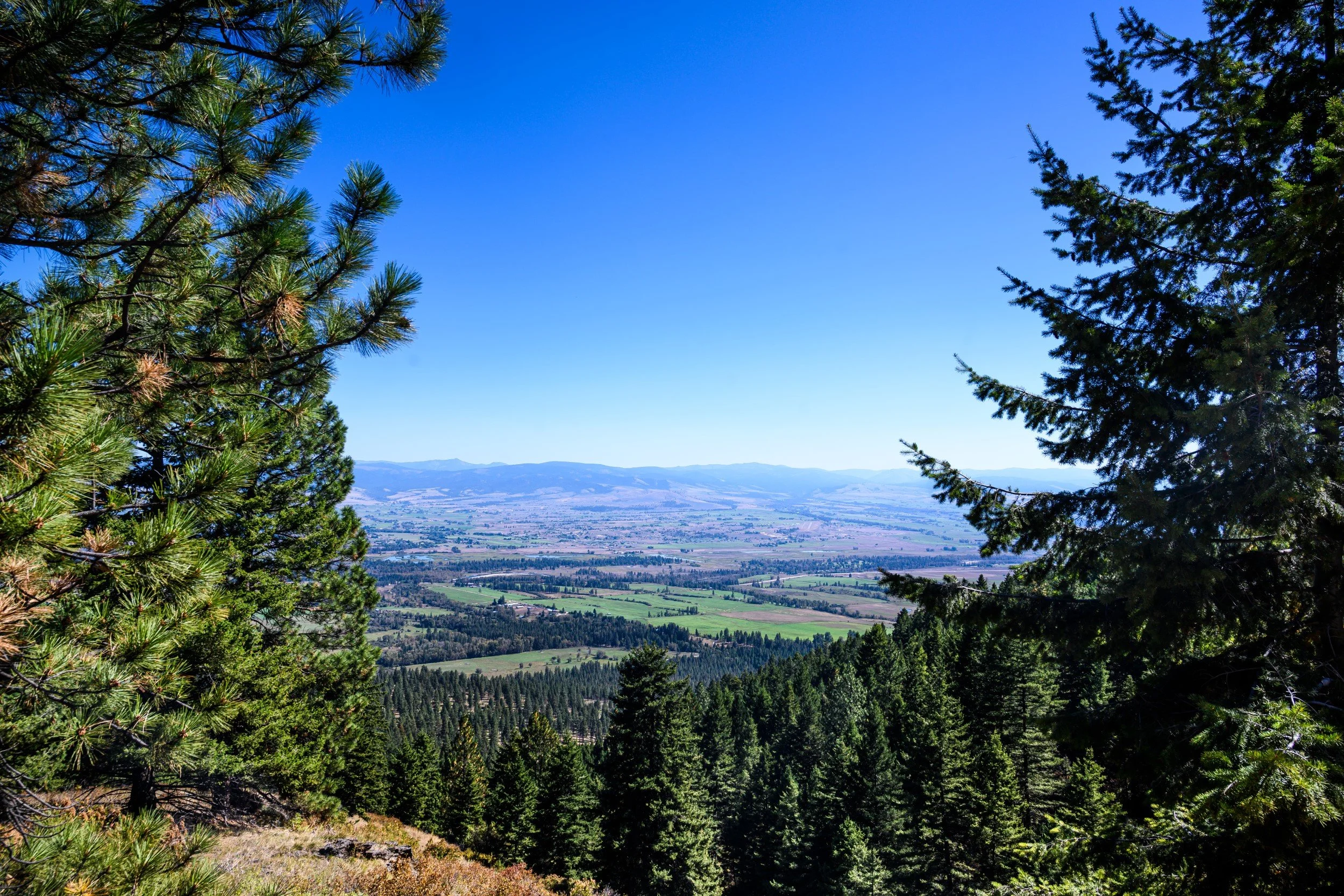 JUM_7088-1 (Custom).jpg