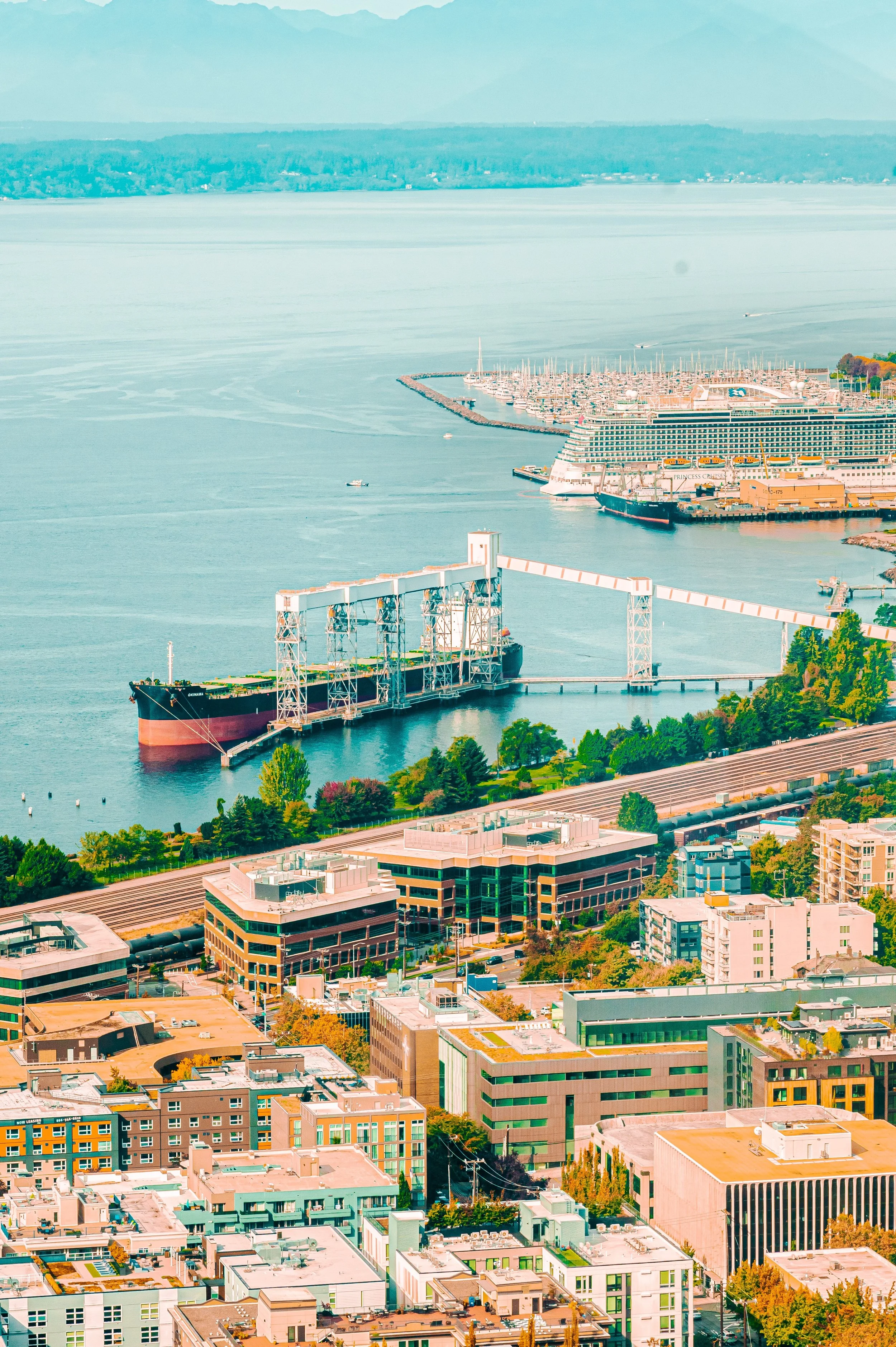 JUM_7970 (Custom).jpg