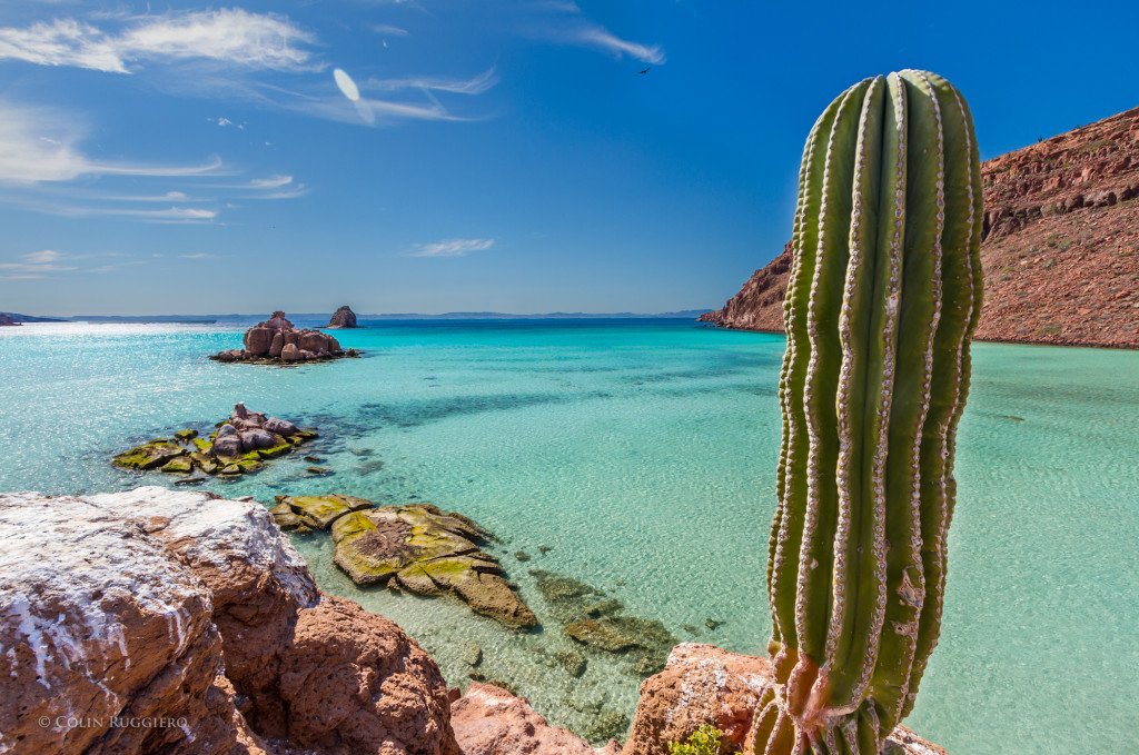 todos Santos 3.jpeg