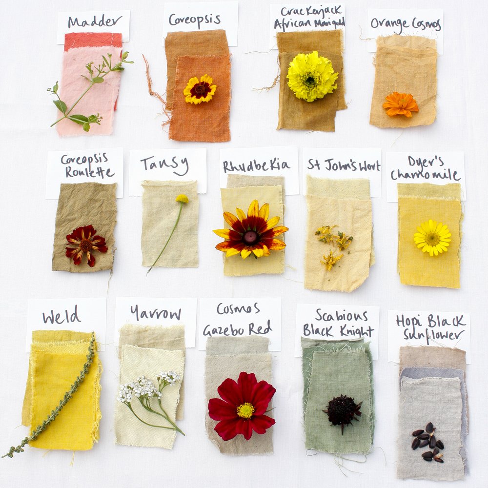Organic Natural Dye Kit for Linen — PIGMENT Organic Dyes