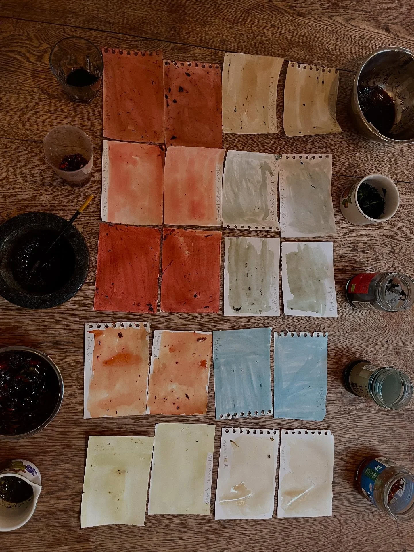 We sowed the seeds.
We designed our gardens.
We planted our plants.
We watered them, nurtured them, weeded them.
We harvested the flowers.
We pressed them.
We dried them.
We mixed them with water and fibre and welcomed in the sun to dye with them.
We