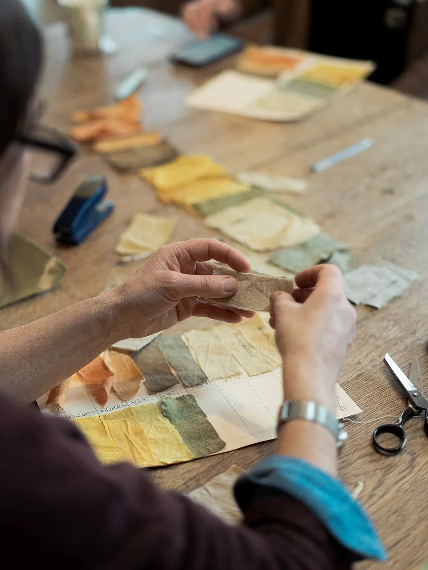 Come dye with me! 🌱 ✨ 🌈 

Immerse yourself in natural colour at Baddaford Farm, the home of PIGMENT Organic Dyes CIC on Saturday 31st January 2026, 10 - 4.

Bring Organic natural colour into the beginning of your year by learning about the dried dy