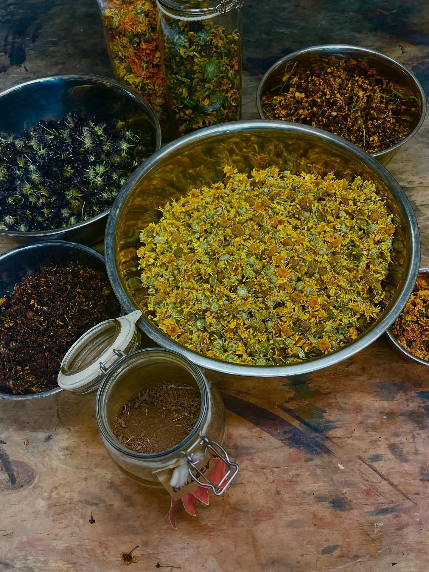 It&rsquo;s that time of year again &hellip;

PIGMENT&rsquo;s offering wholesale and commission customers the opportunity to buy into this year&rsquo;s growing season. You can pre-order a dye crop or commission, meaning that you are guaranteed to rece