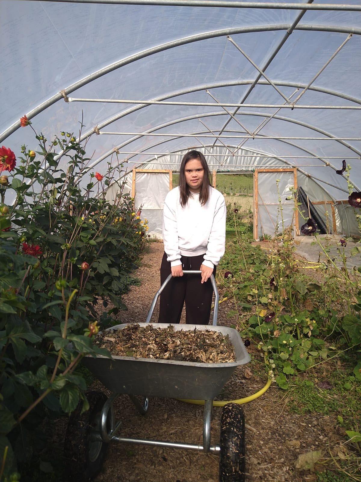 New, FREE workshop 🚨 for land-based organisations

&ldquo;Opening the Gates: Pathways into Land-Based Inclusion&rdquo;

So excited to announce an upcoming workshop exploring how land-based projects can become more inclusive, accessible, and supporti