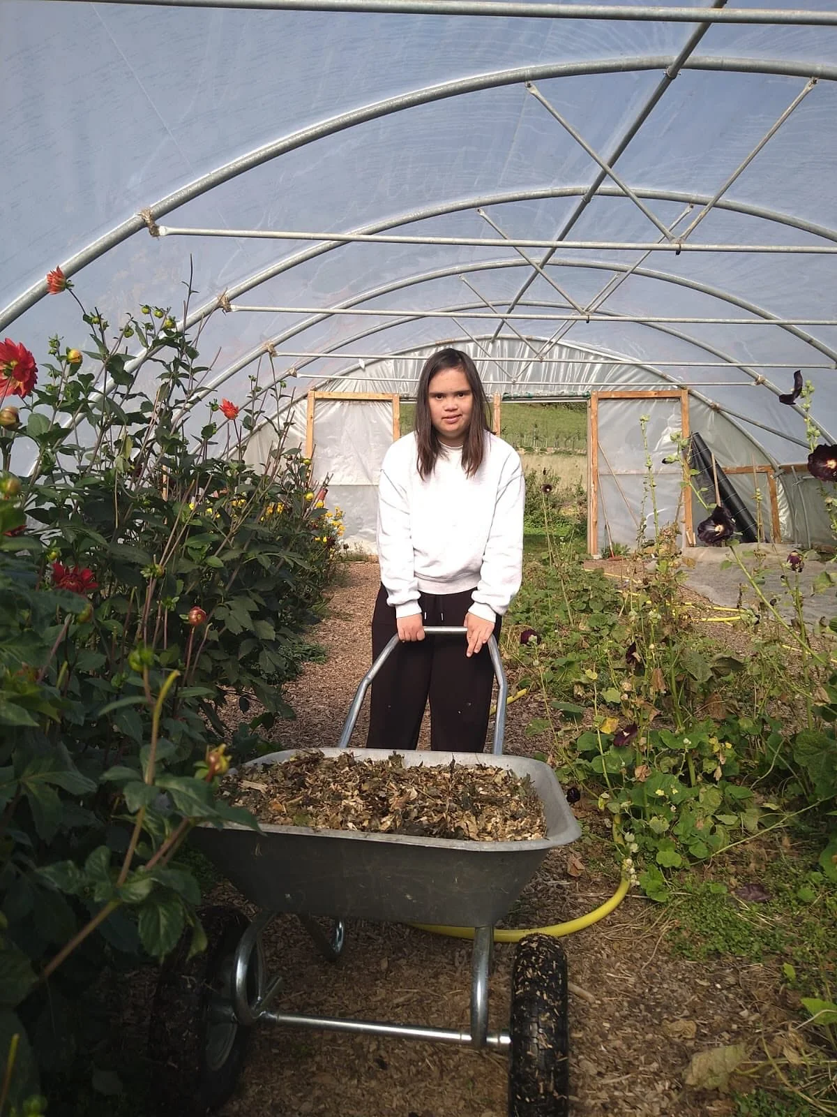 New, FREE workshop 🚨 for land-based organisations

&ldquo;Opening the Gates: Pathways into Land-Based Inclusion&rdquo;

So excited to announce an upcoming workshop exploring how land-based projects can become more inclusive, accessible, and supporti