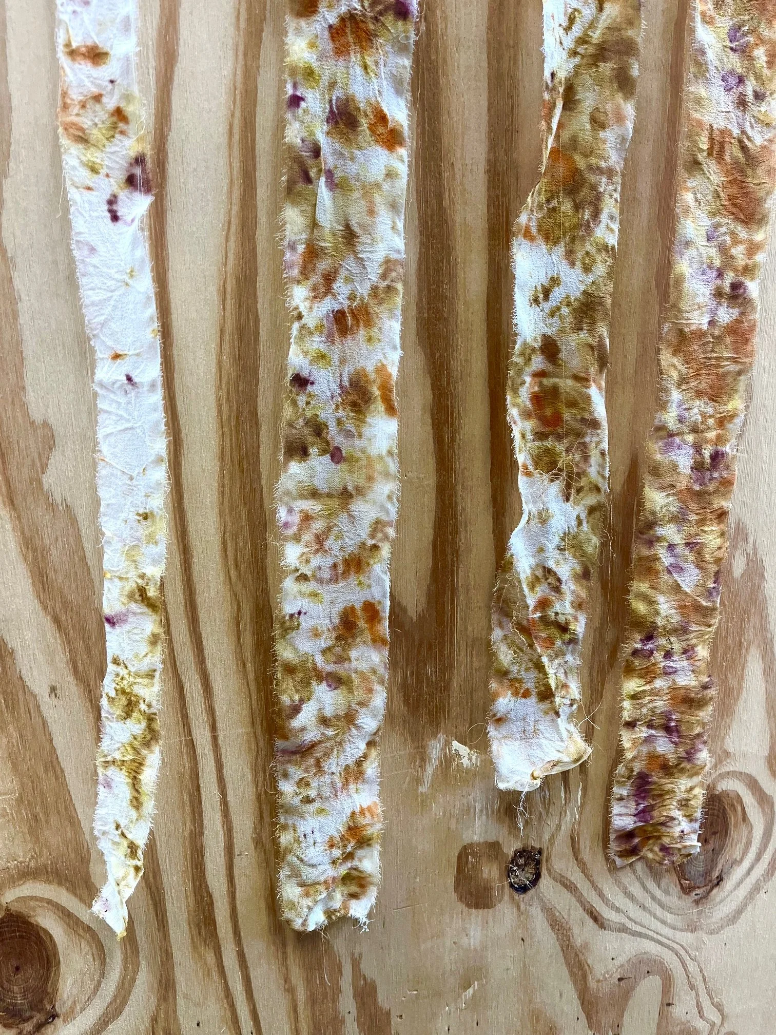 Bundle Georgette.jpeg