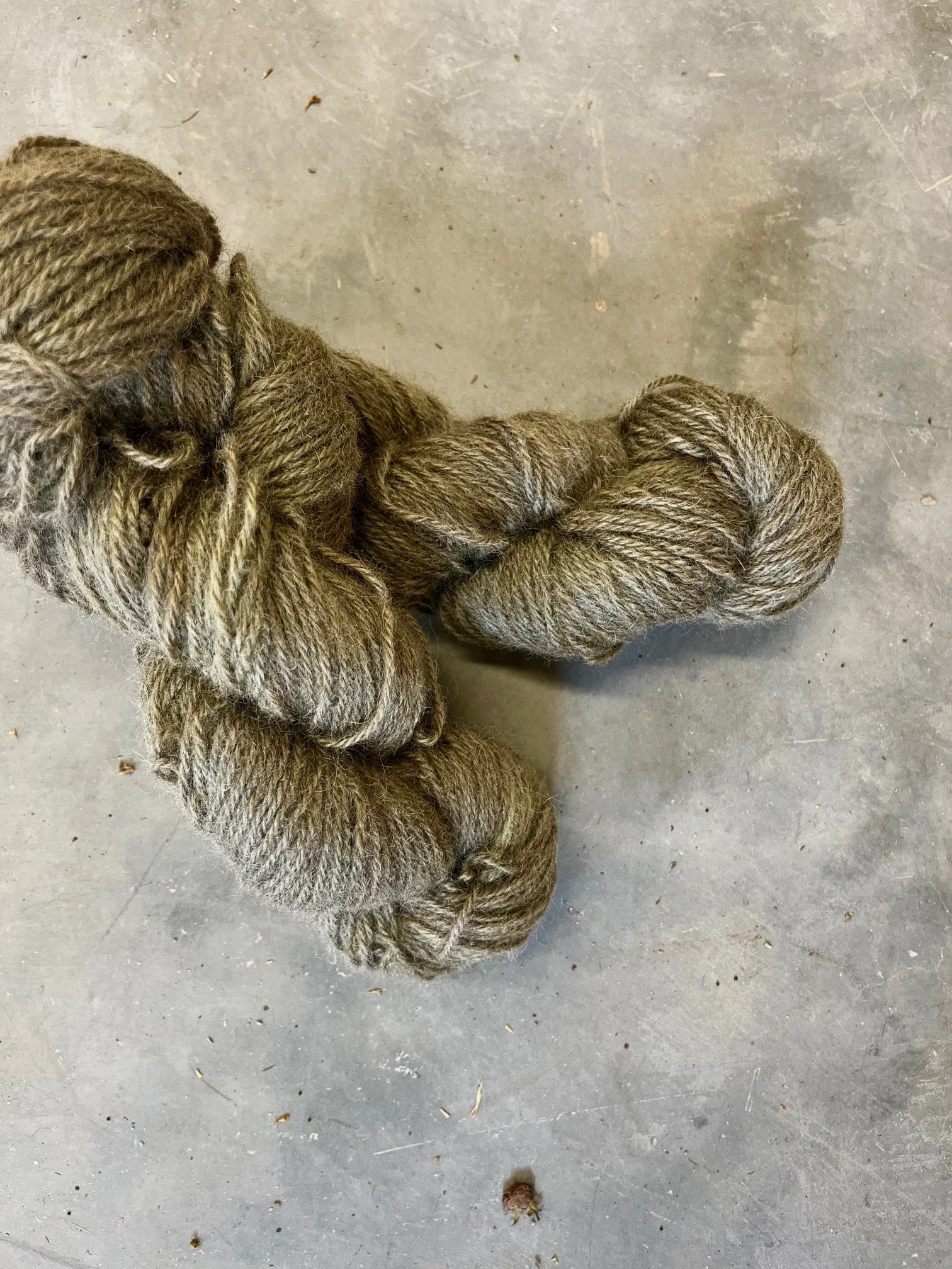 Coal Dartmoor Masham Wool
