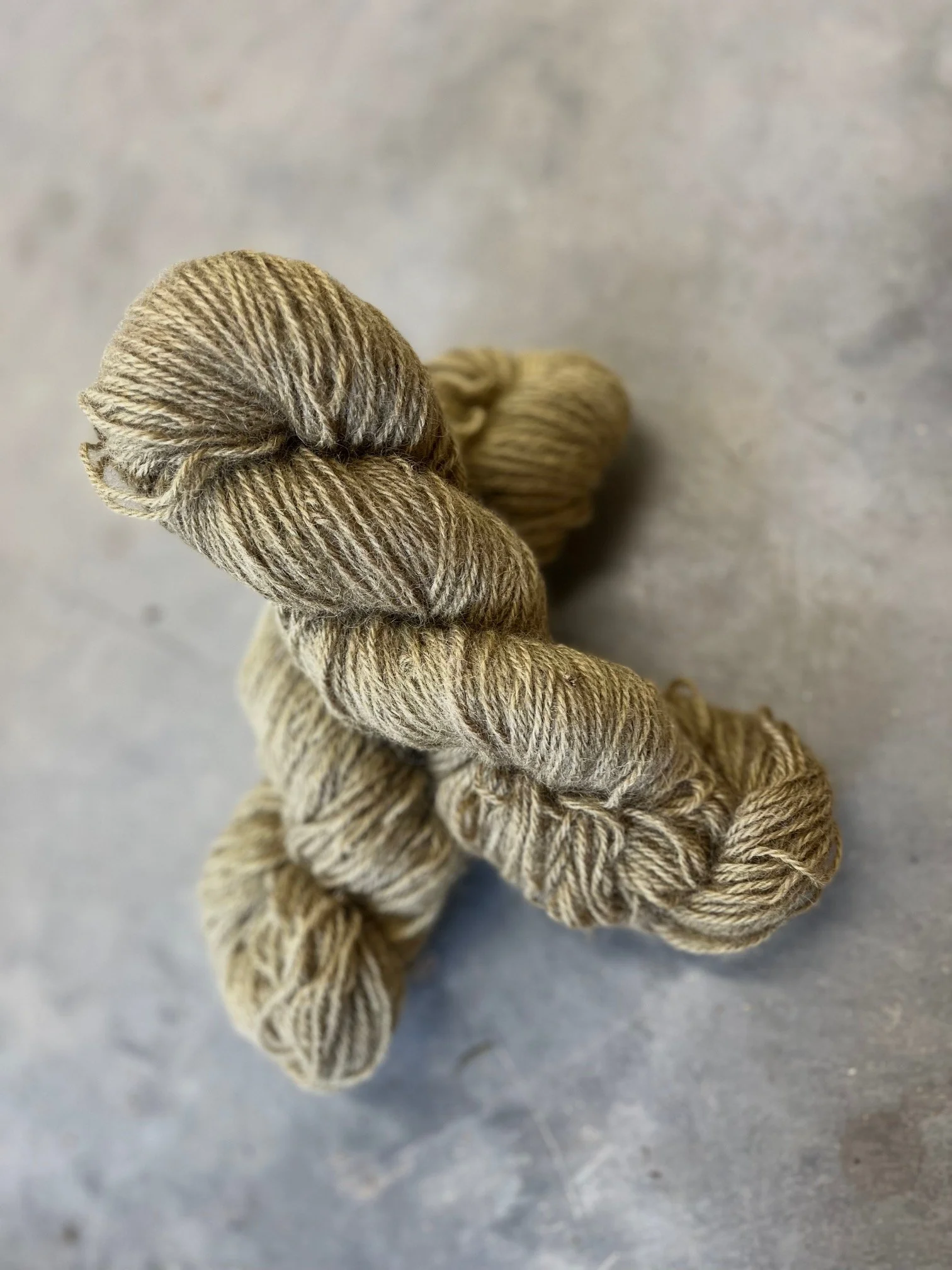 Butter Dartmoor Masham Wool