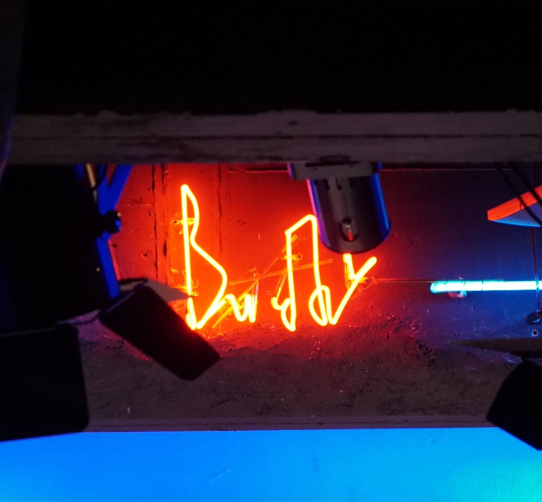 Live in Buddy