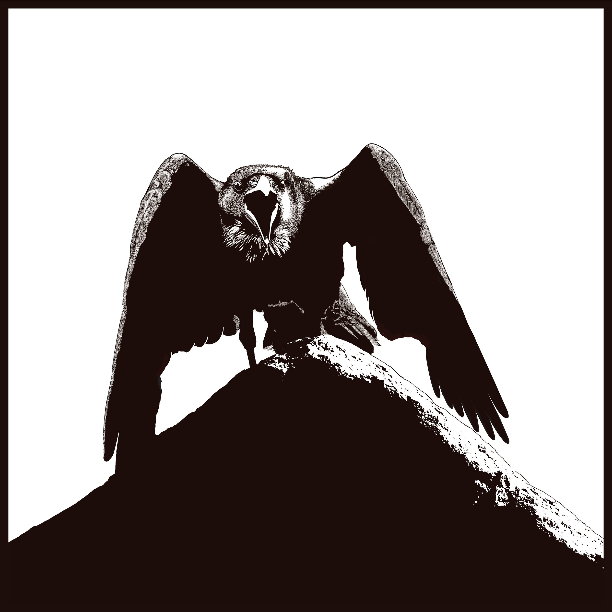 Raven.png