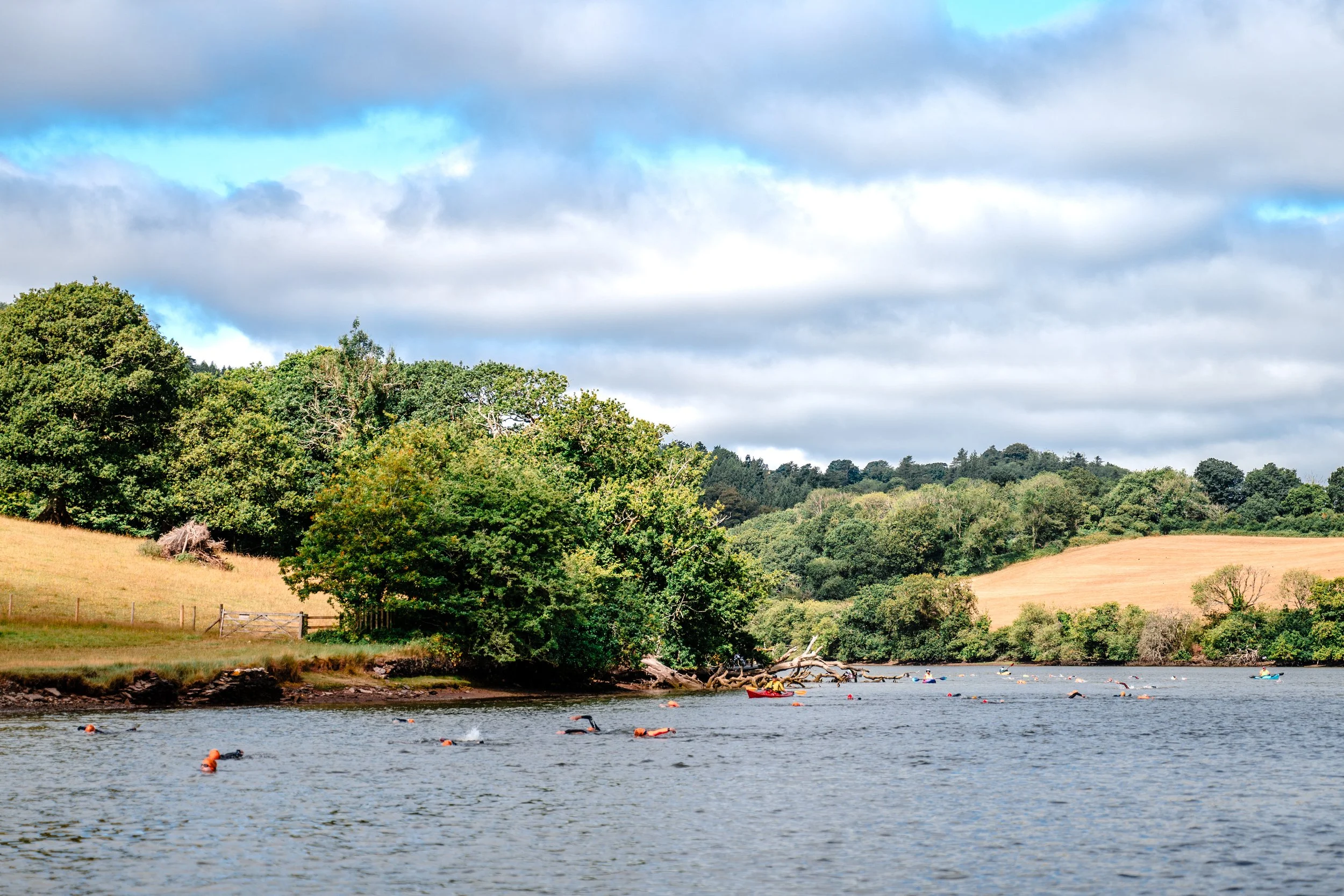 Dart 10k - Sat - Swim-23.jpg