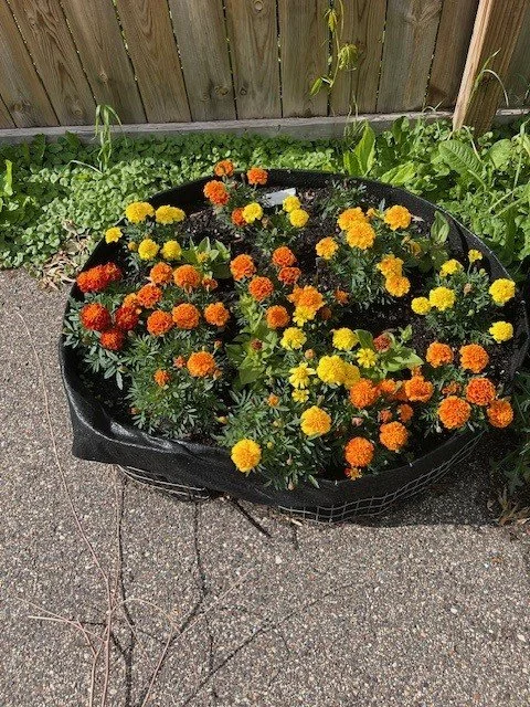 Seed Starting Workshop