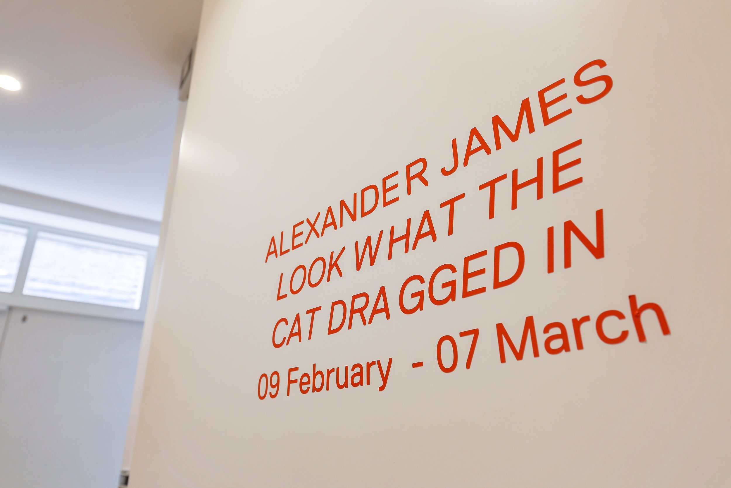 Alex James - LWTCDI - Web Quality-1.jpg