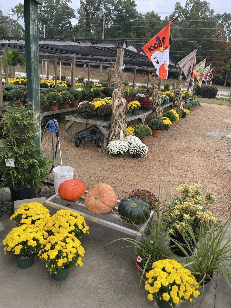 About Sanders Garden Center LLC — Sanders Garden Center LLC