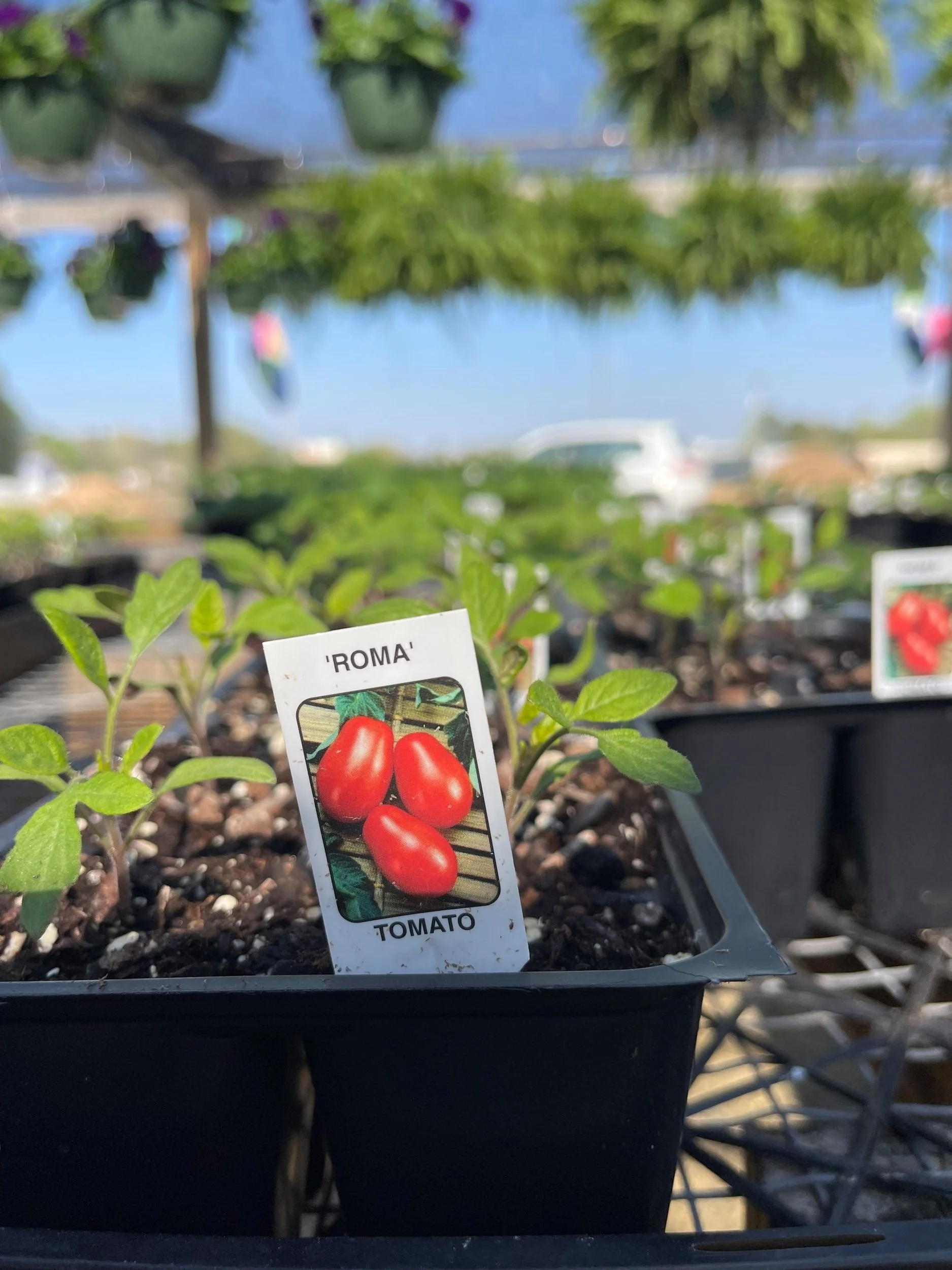 About Sanders Garden Center LLC — Sanders Garden Center LLC