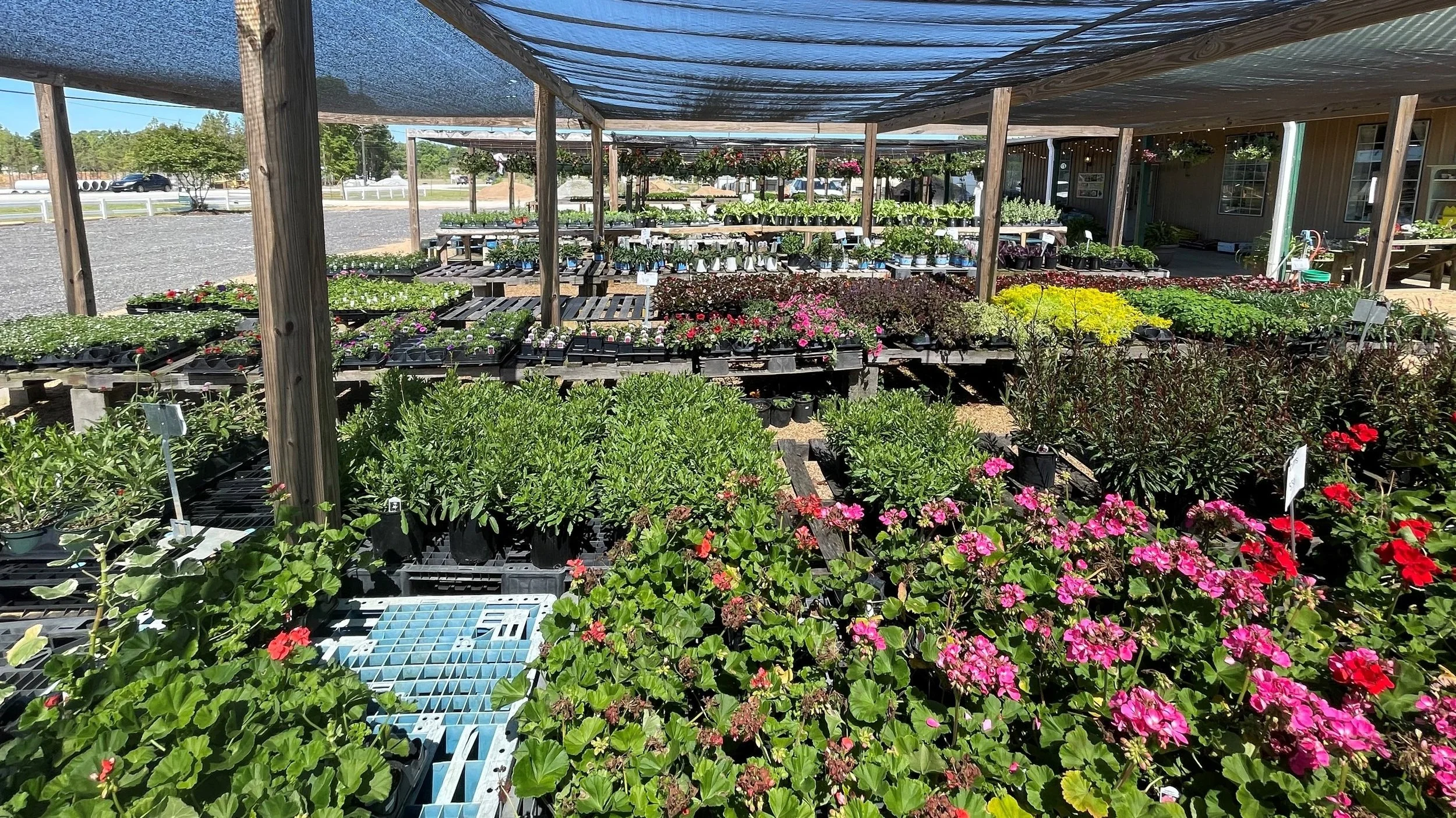 About Sanders Garden Center LLC — Sanders Garden Center LLC