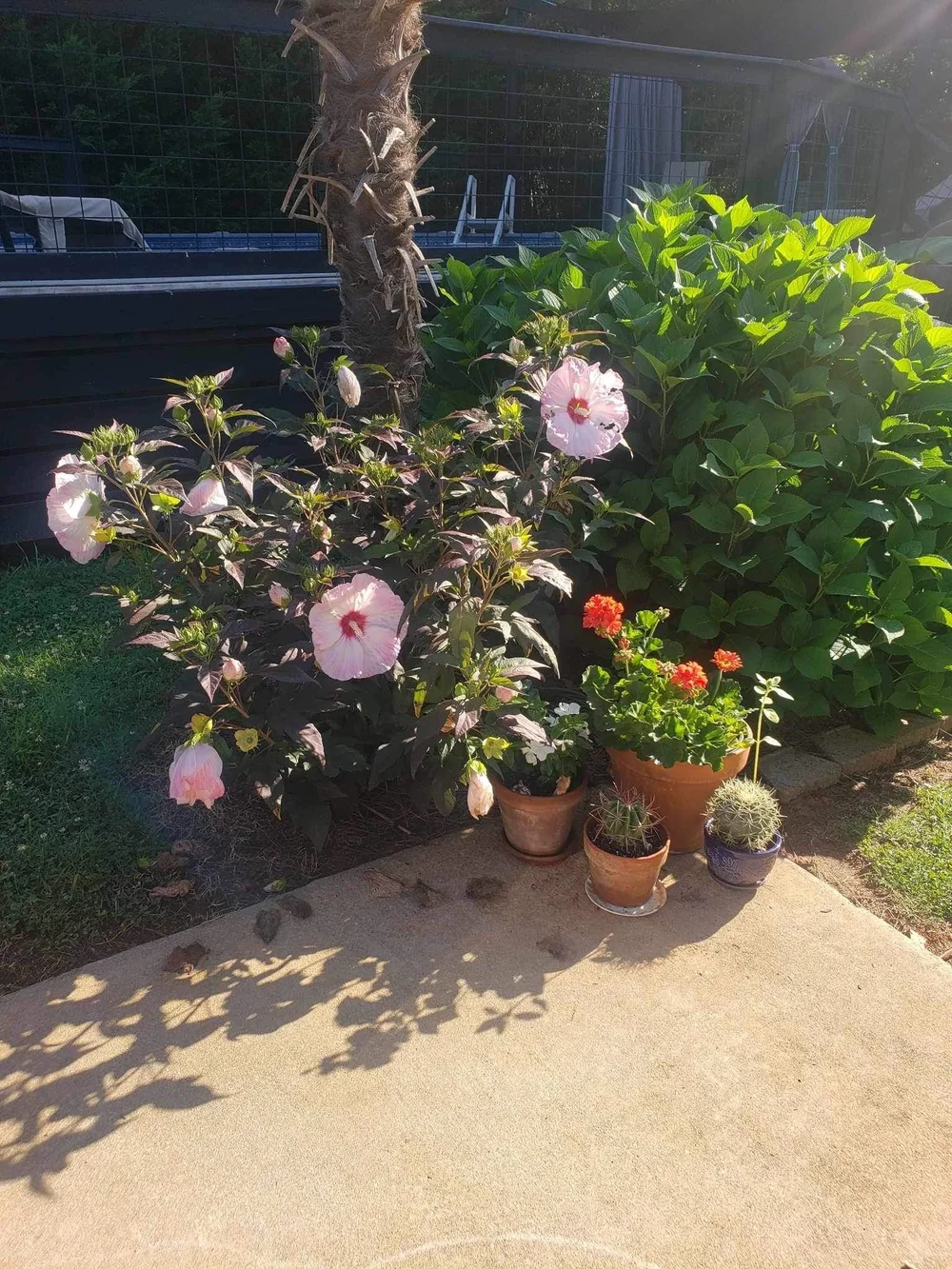 Sanders Garden Center LLC