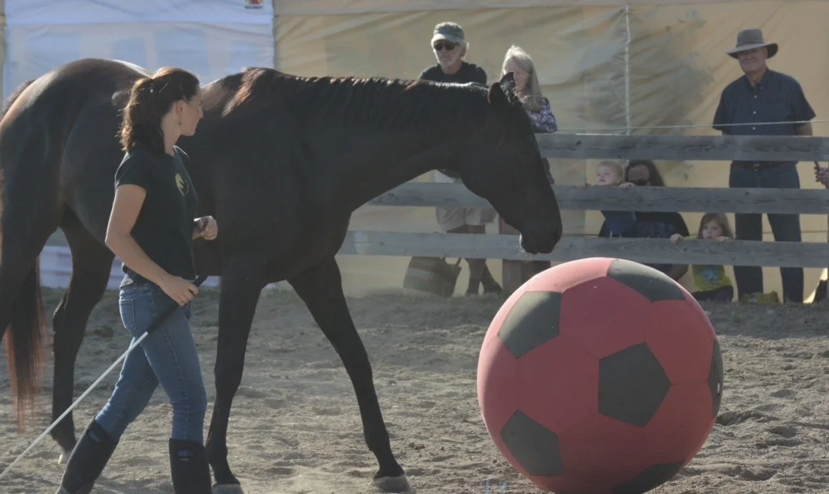 osa fair ball jpg.jpg