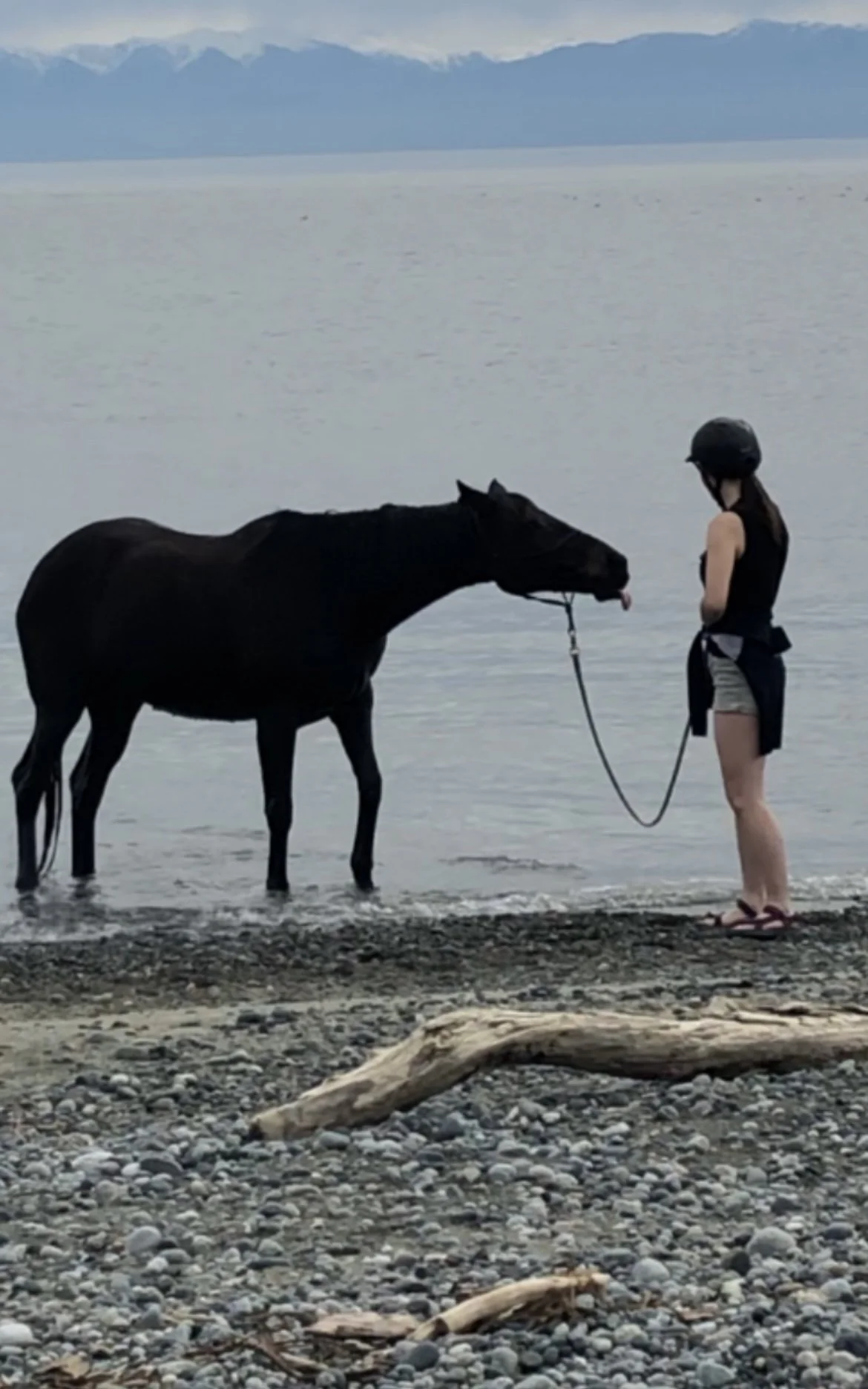 osa licking beach.jpeg