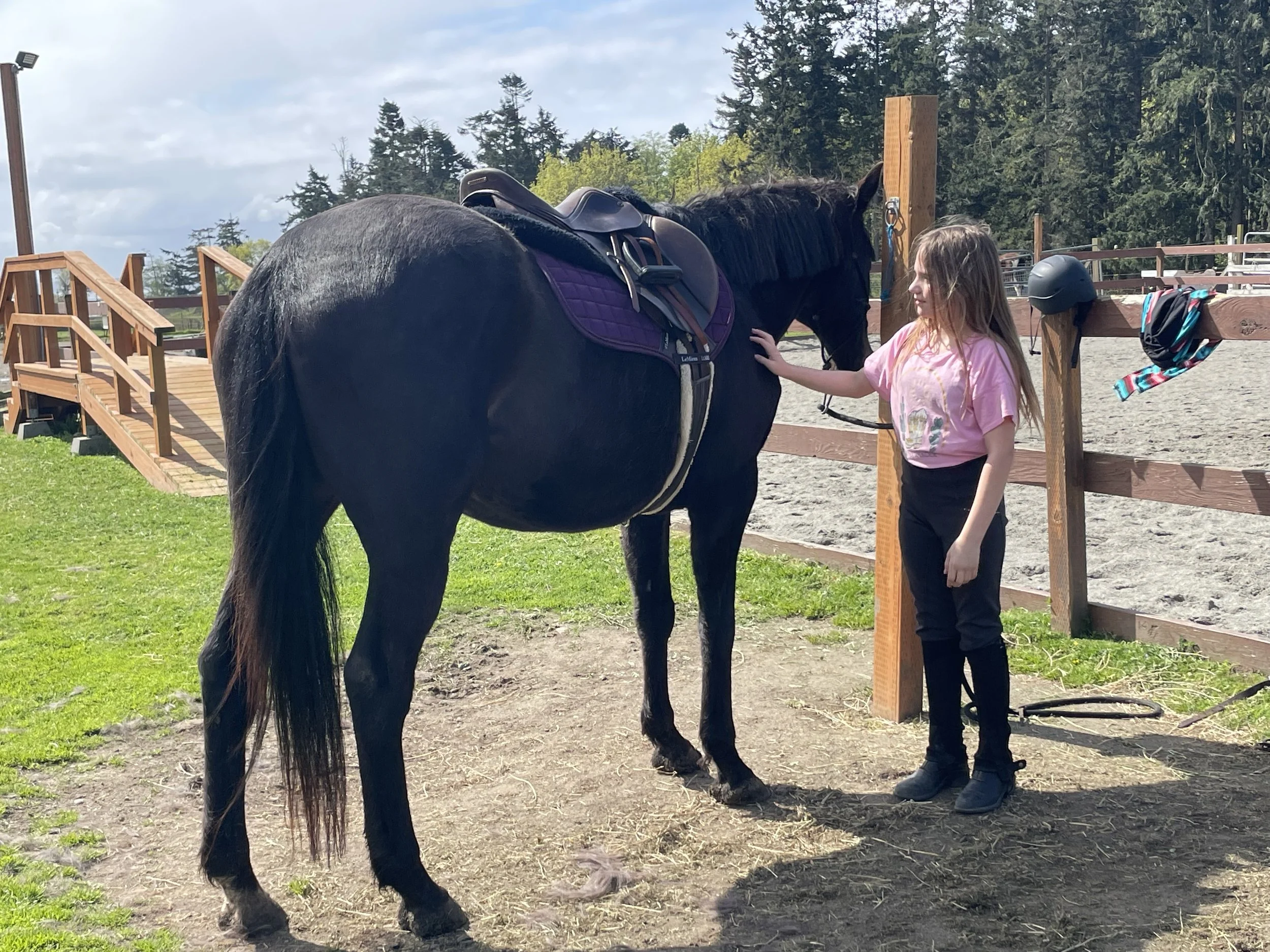 JJ TACKING UP OSA.JPG