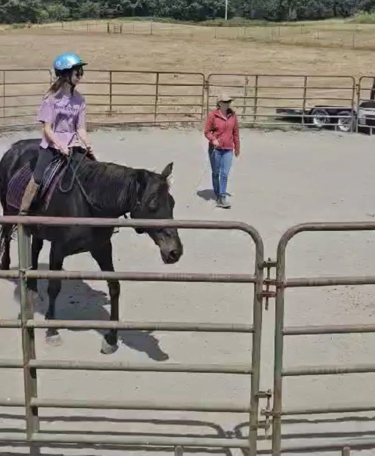 jj osa round pen.jpg
