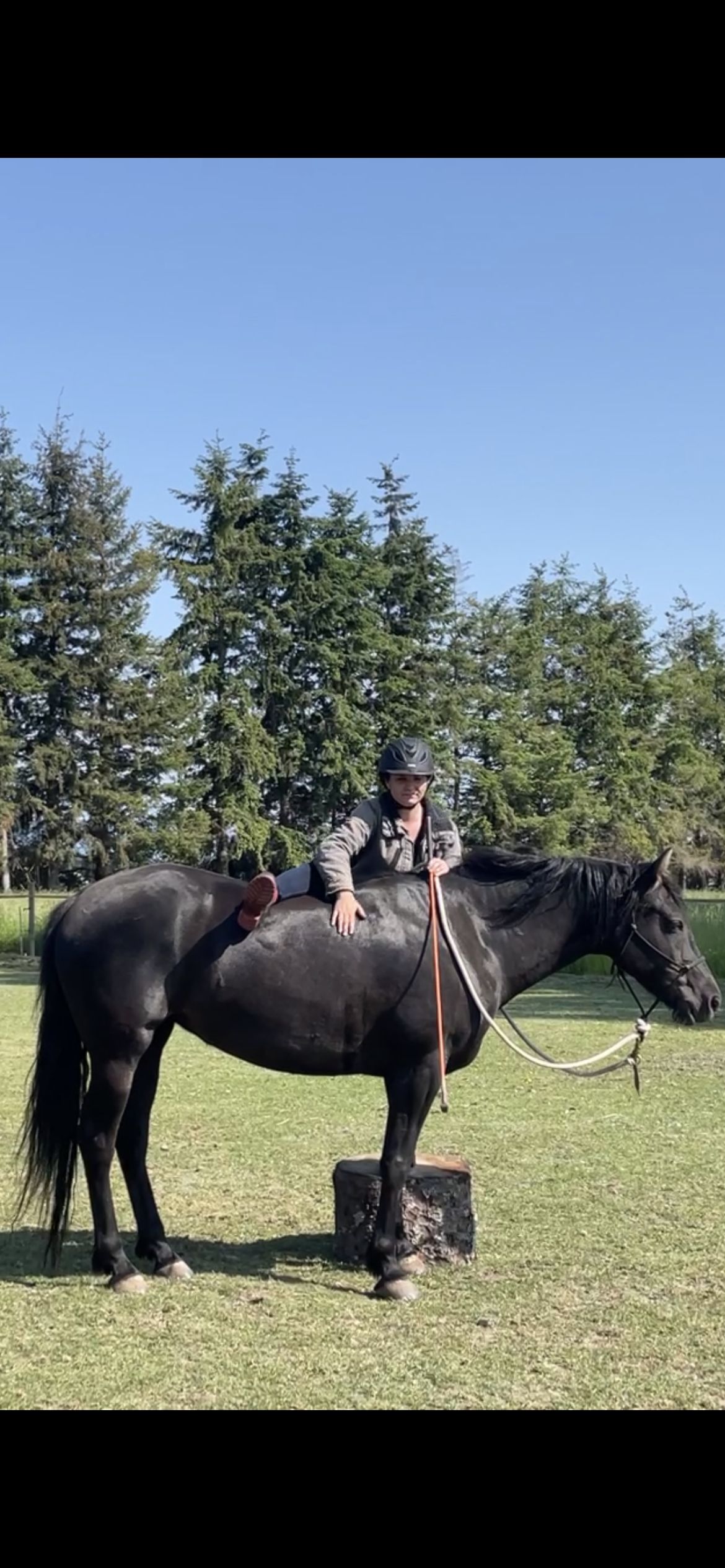 pearl's first ride.PNG