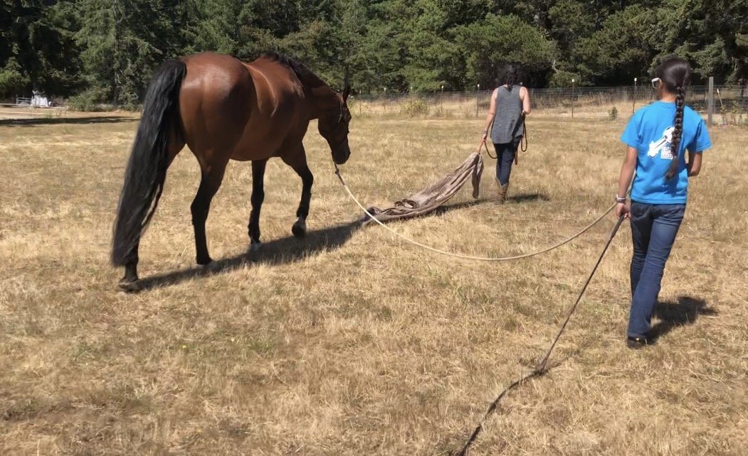 tarp work forrest owners.jpg