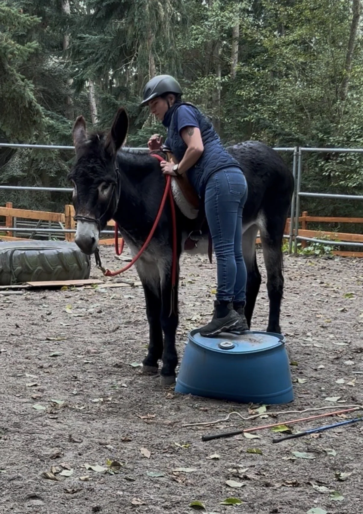 donkey first ride.jpg