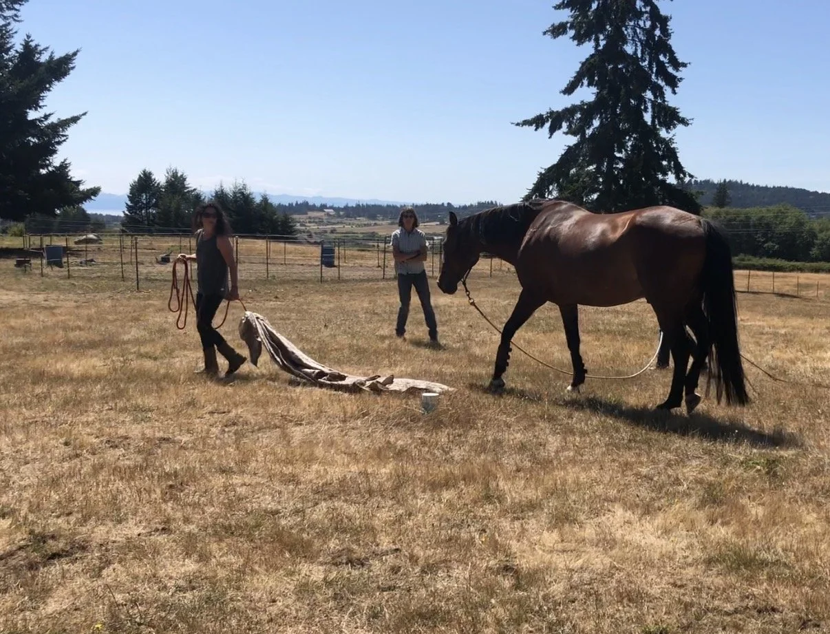 forrest tarp w owners.jpg