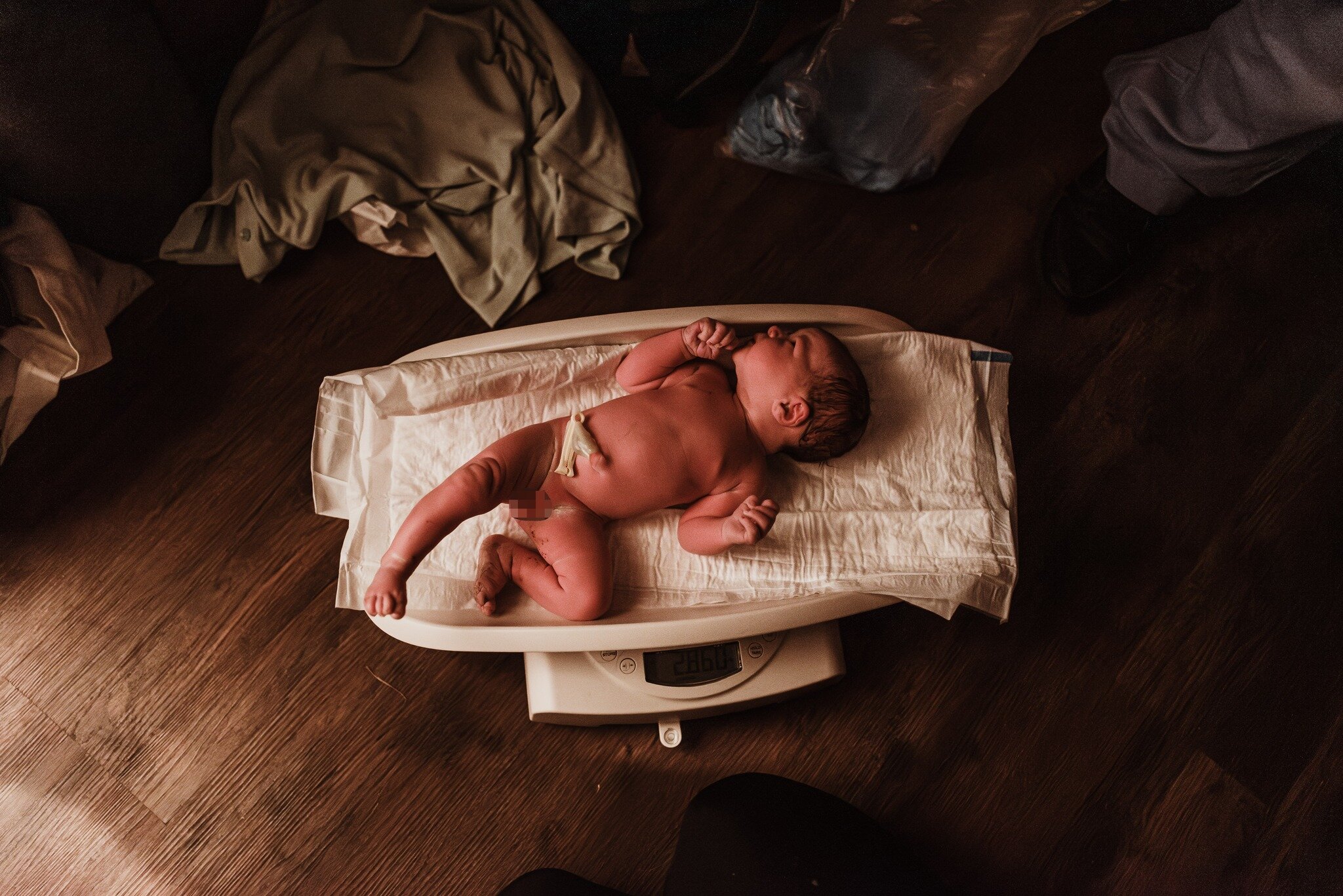 The weighing of the little one after the birth is always so special! How much did your little one weigh? ❤

 #birthphotography #birthphotograph #birthphoto #birthphotographer #birthphotographer #birthphotographersofeurope #birthphotographeruk #birthp