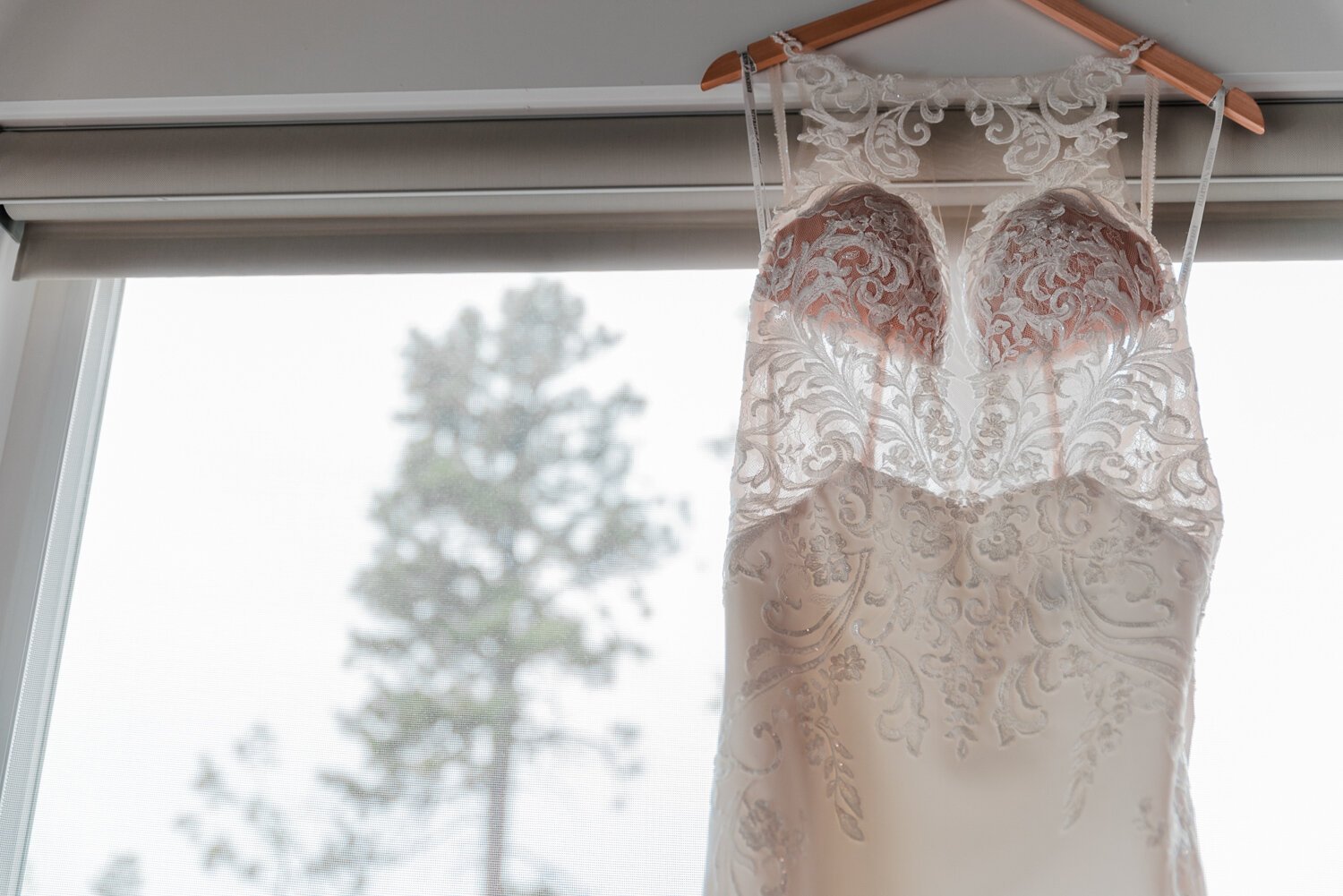 Colorado Springs, Colorado intimate wedding dress