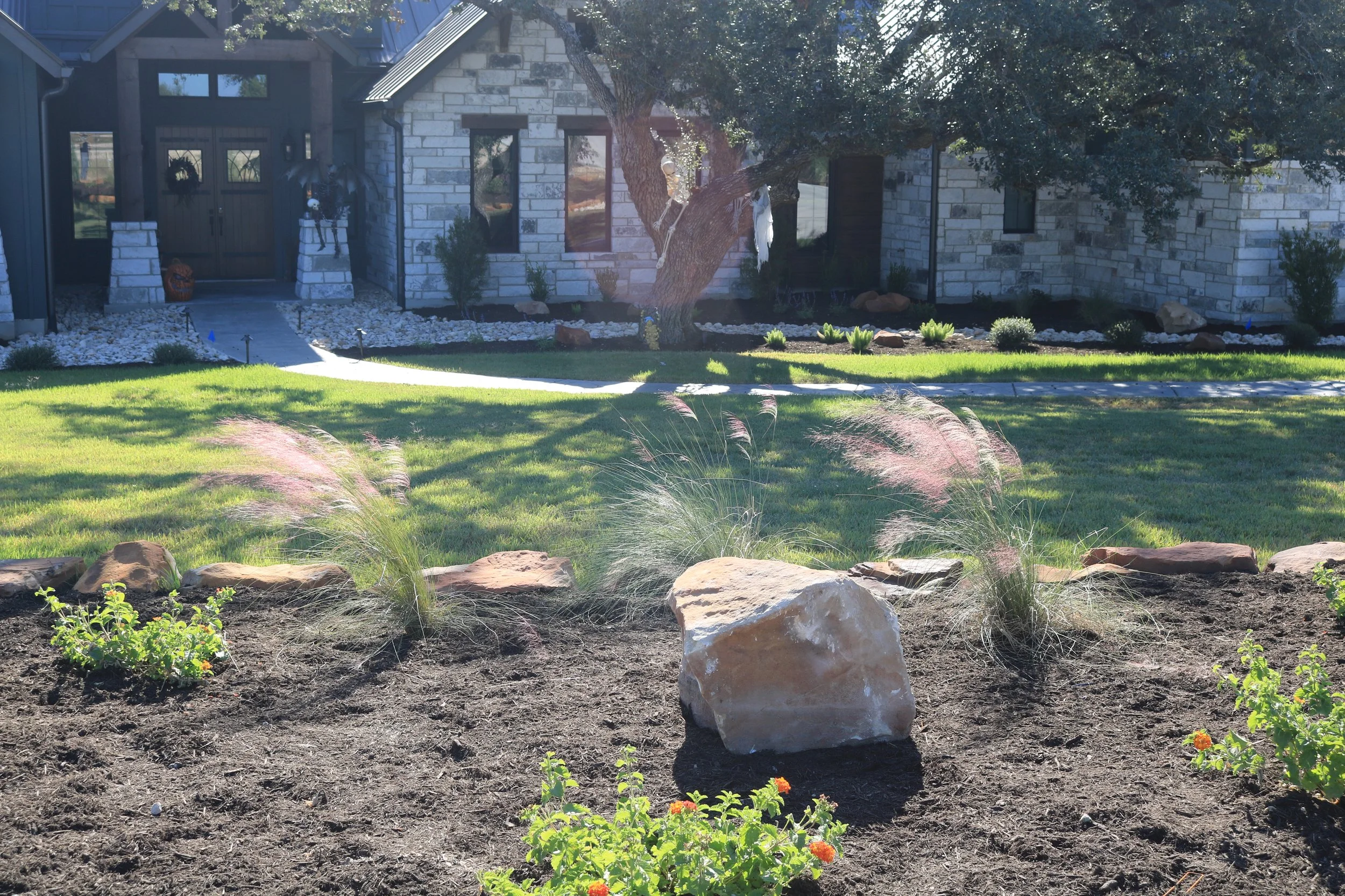 Best Native Landscaping Plants and Texas Landscape Materials for Your Yard