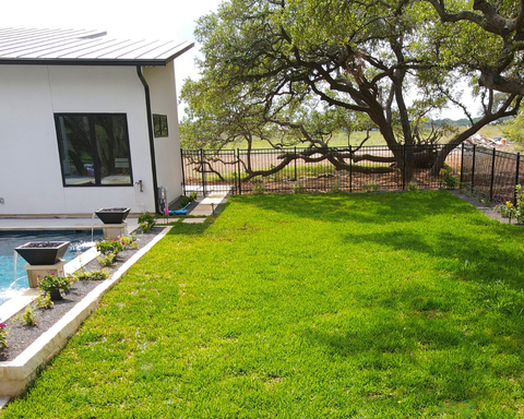 Best Texas-Native Grasses for Residential Lawns in the Hill Country
