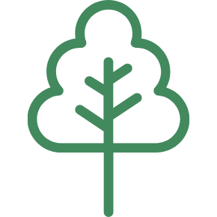 A simple green line drawing of a tree with a trunk and three layers of foliage.